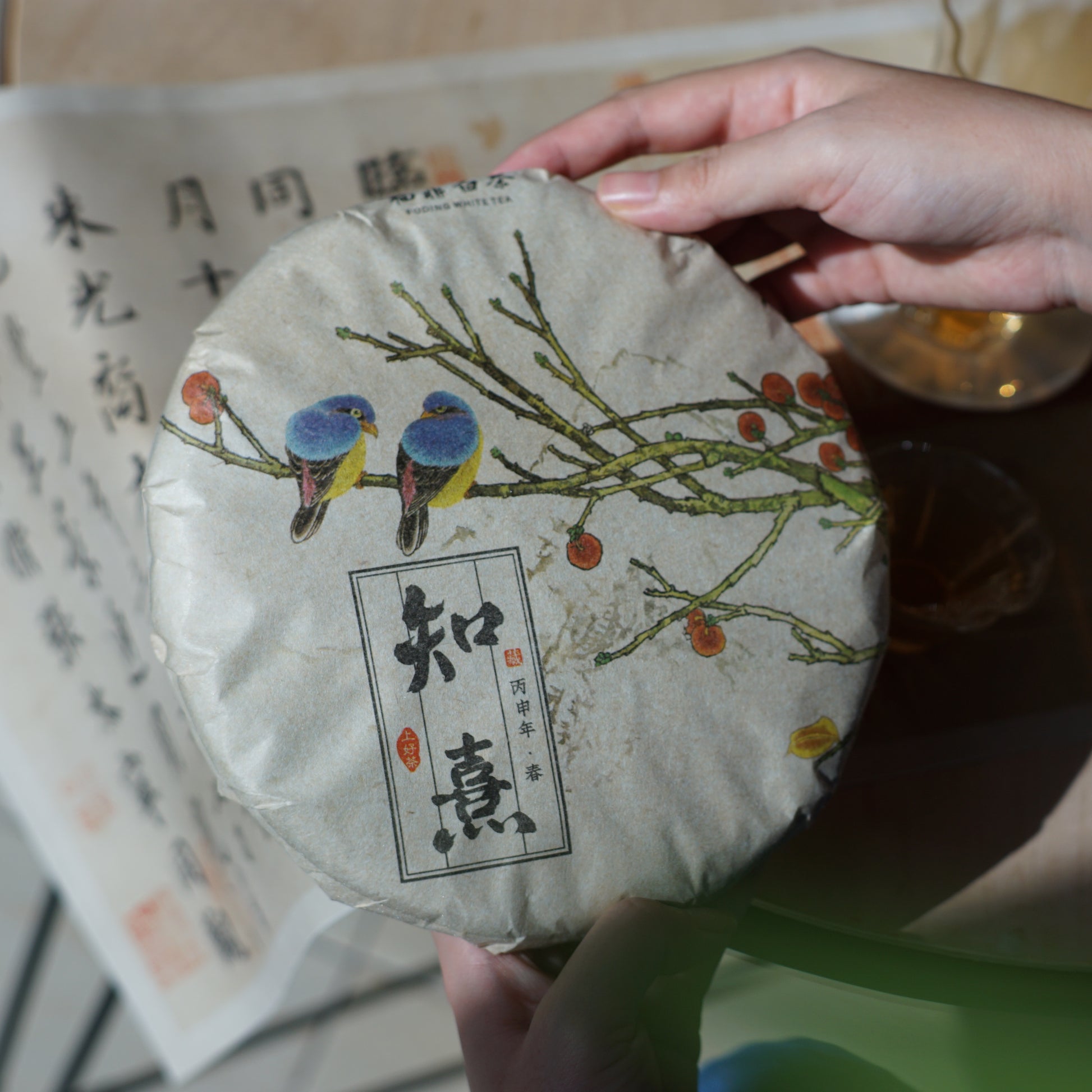2016 Zhi Xi Gong Mei White Tea