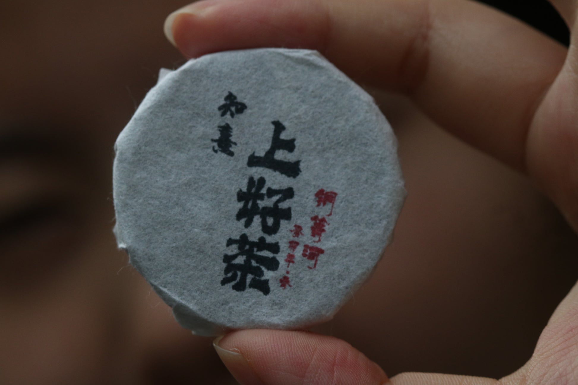 2023 Mini Portable Pu'er Tea from Tongqing River — Tea from the Primal Forest