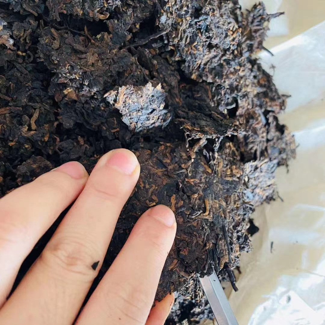 2010 Yiwu Ancient Tree Ripe Pu-erh — “Golden Patina of Time”