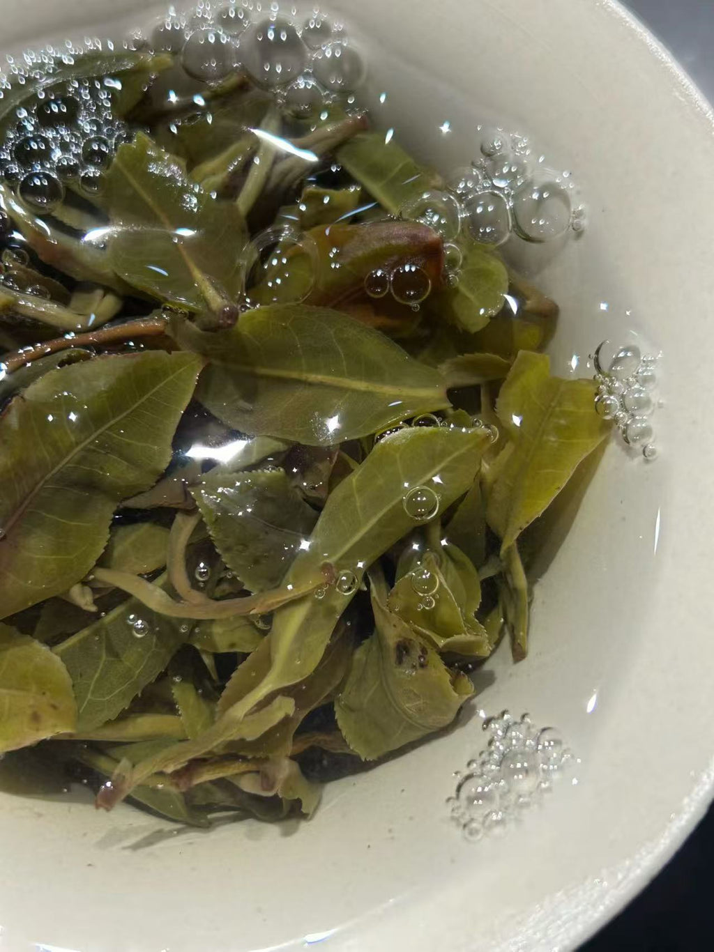2026年倚邦细叶 600年历史的茶