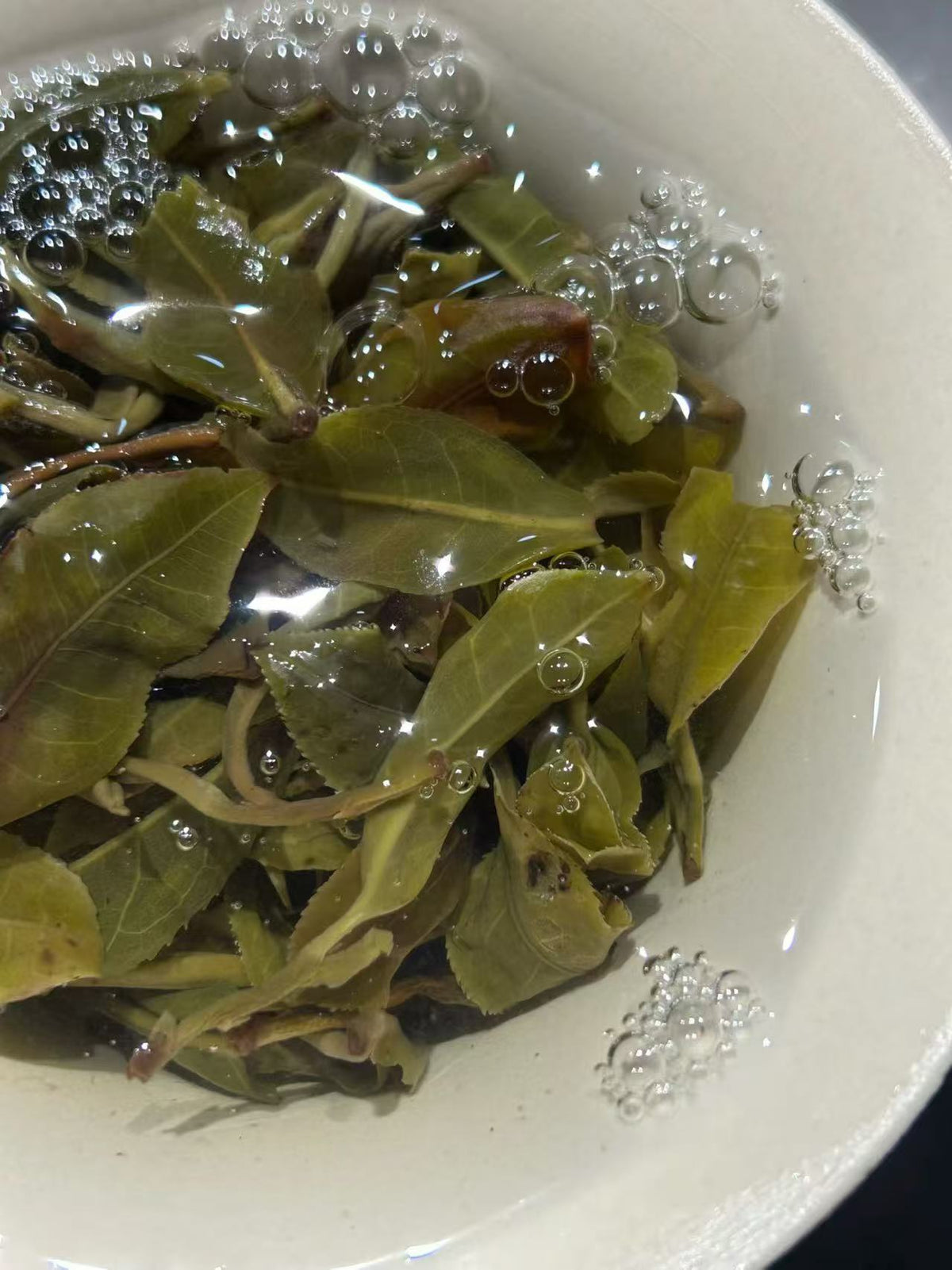 2026年倚邦细叶 600年历史的茶