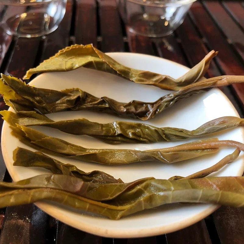 2025 Bangdong Yellow Leaf The “Gentle Power” of Ancient Tree Old Leaves          询问 ChatGPT