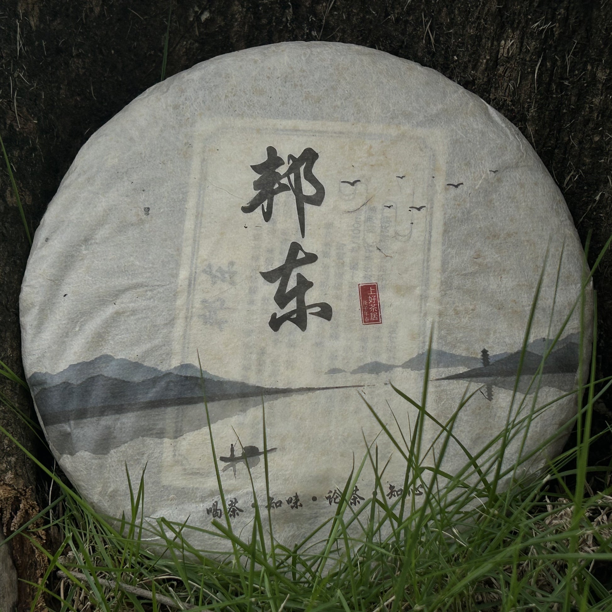 2020 Bangdong Ancient Tree Raw Pu-erh Tea – From Our Own Estate in the Core Production Region