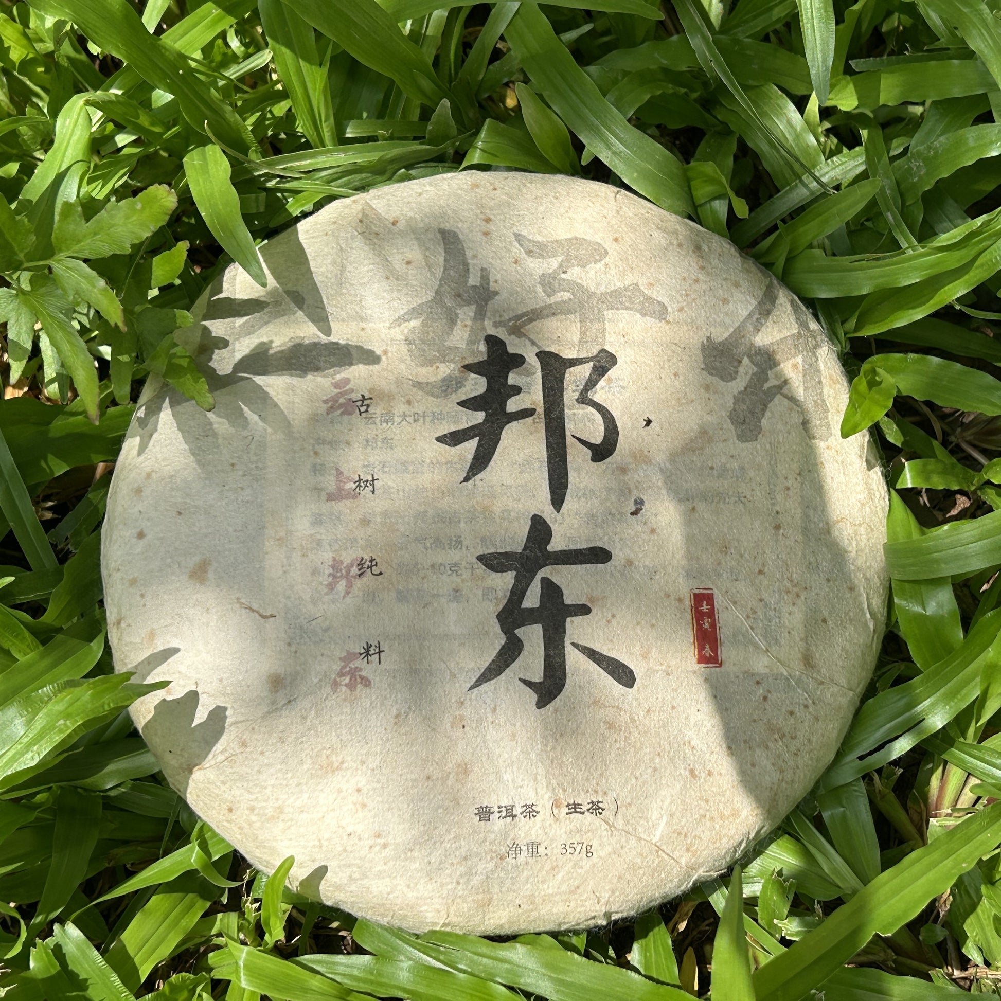 2022 Bangdong Ancient Tree Raw Pu-erh Tea – Estate-Grown from Core Origin