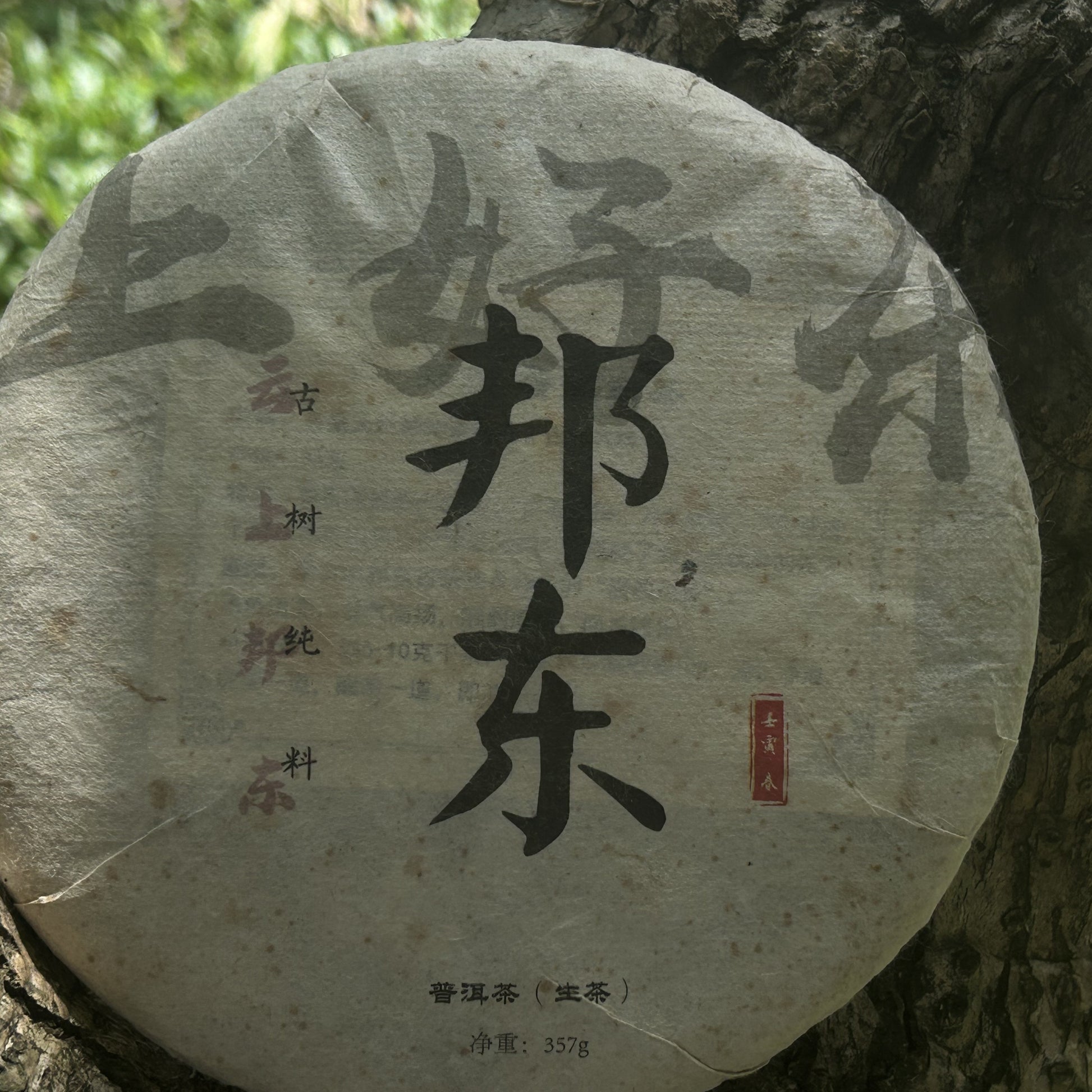 2022 Bangdong Ancient Tree Raw Pu-erh Tea – Estate-Grown from Core Origin