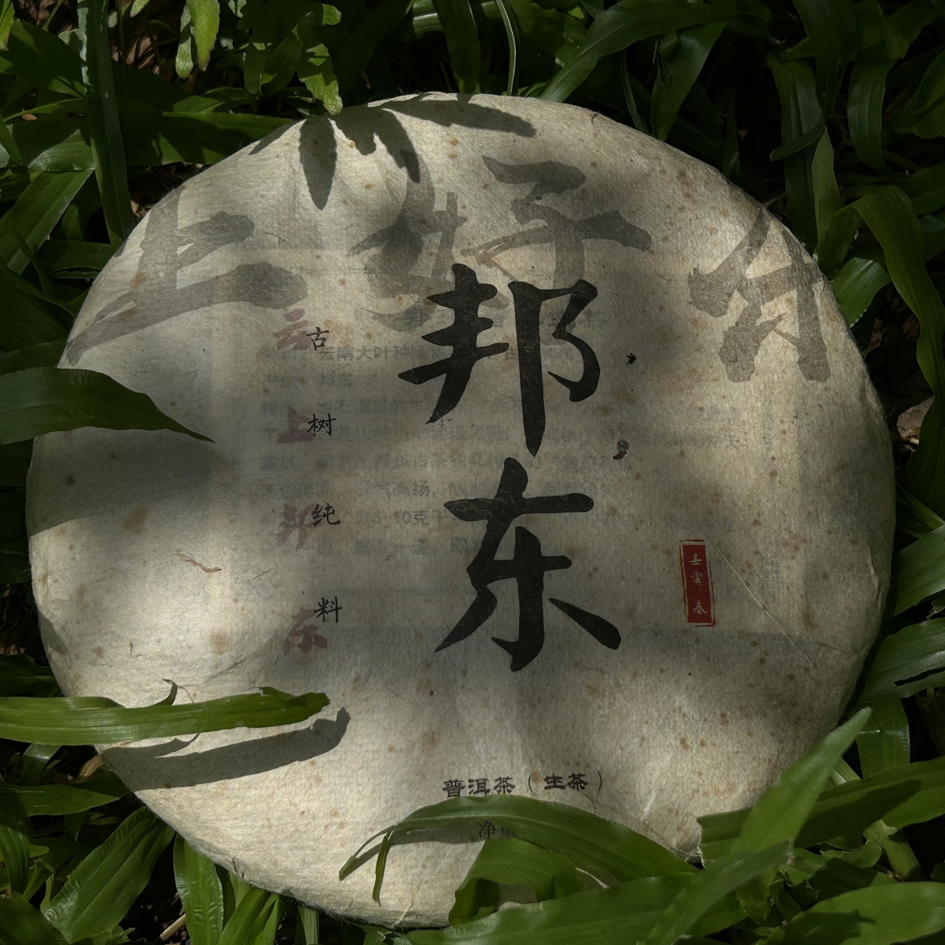 2022 Bangdong Ancient Tree Raw Pu-erh Tea – Estate-Grown from Core Origin