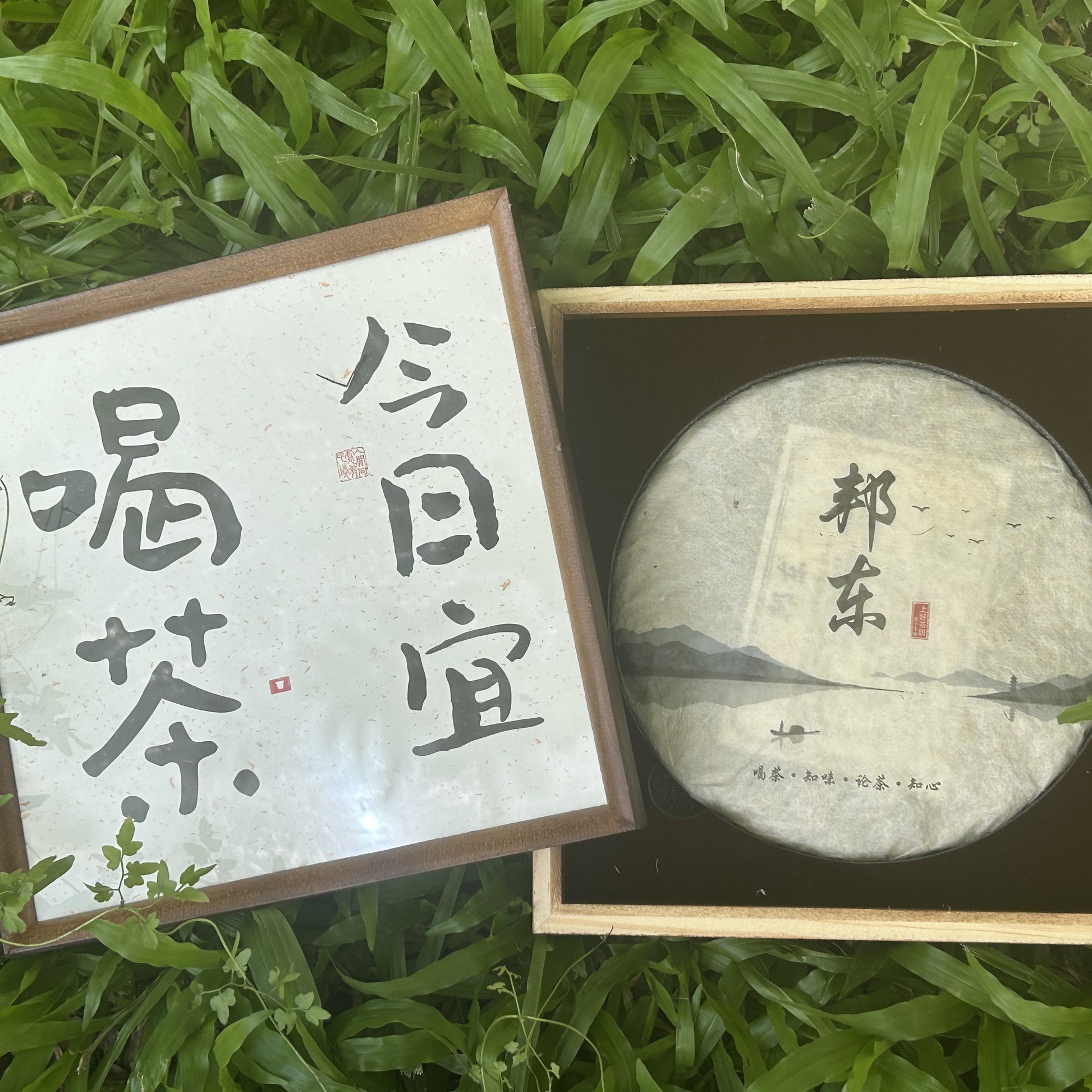 2020 Bangdong Ancient Tree Raw Pu-erh Tea – From Our Own Estate in the Core Production Region