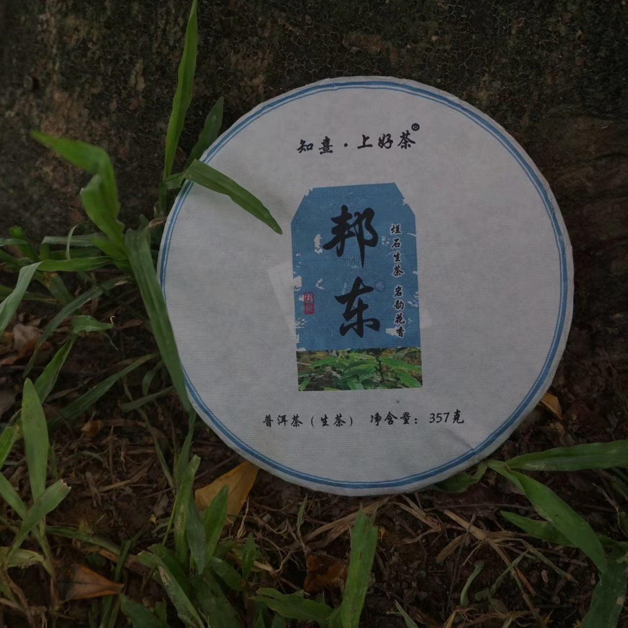 2023 Bangdong Ancient Tree Pu-erh Tea From Our Own Plantation, Core Producing Area