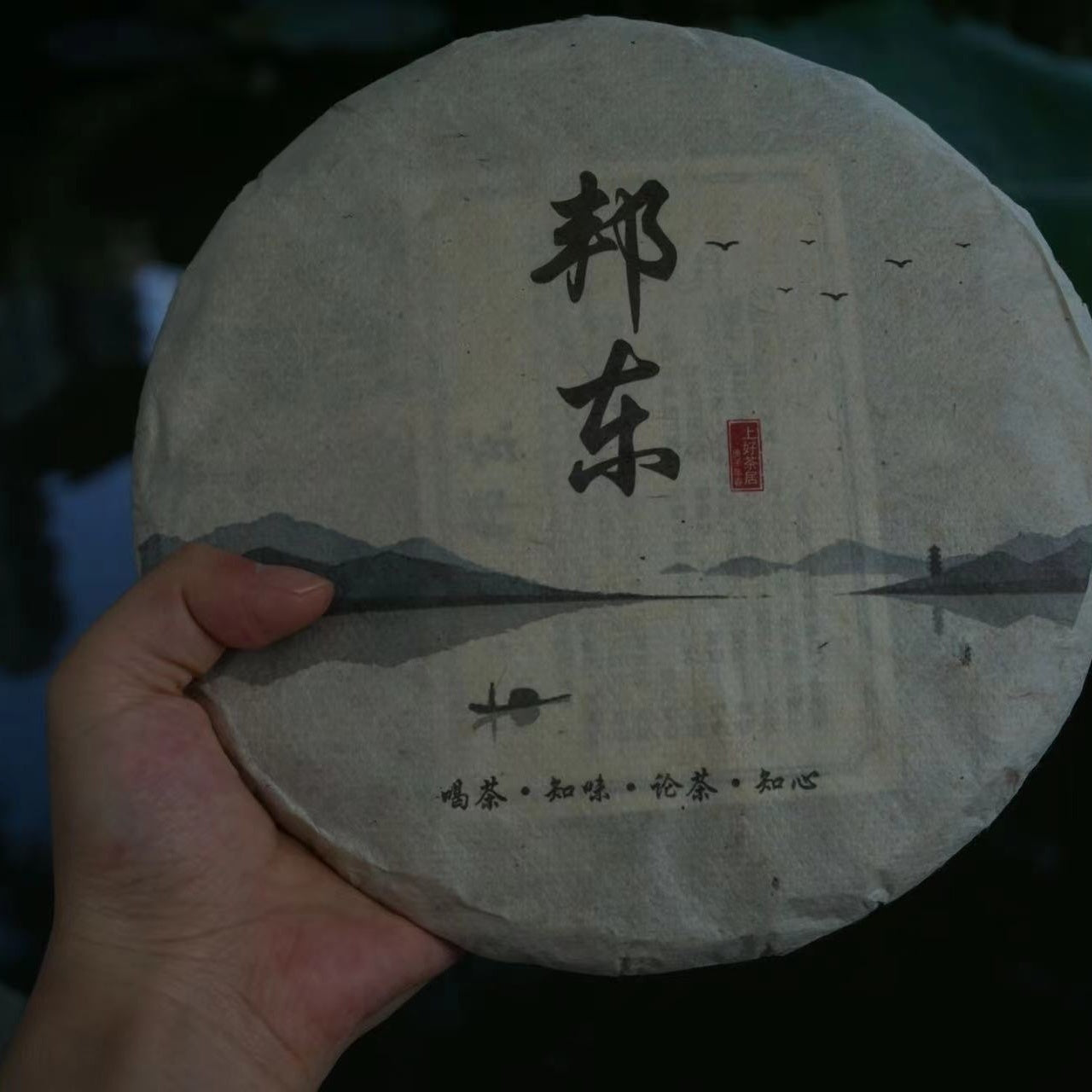 2020 Bangdong Ancient Tree Raw Pu-erh Tea – From Our Own Estate in the Core Production Region