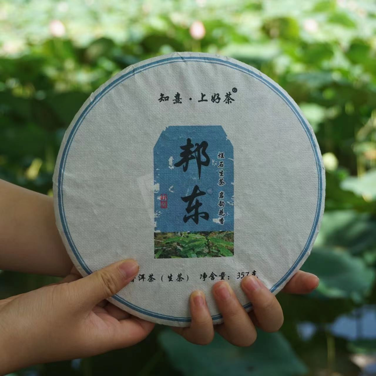 2023 Bangdong Ancient Tree Pu-erh Tea From Our Own Plantation, Core Producing Area