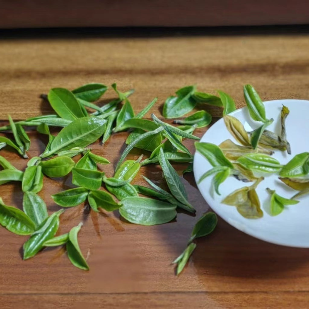 2023 Mini Portable Cat Ear Pu’er Tea — Cute, Delicious, Drinkable Perfume