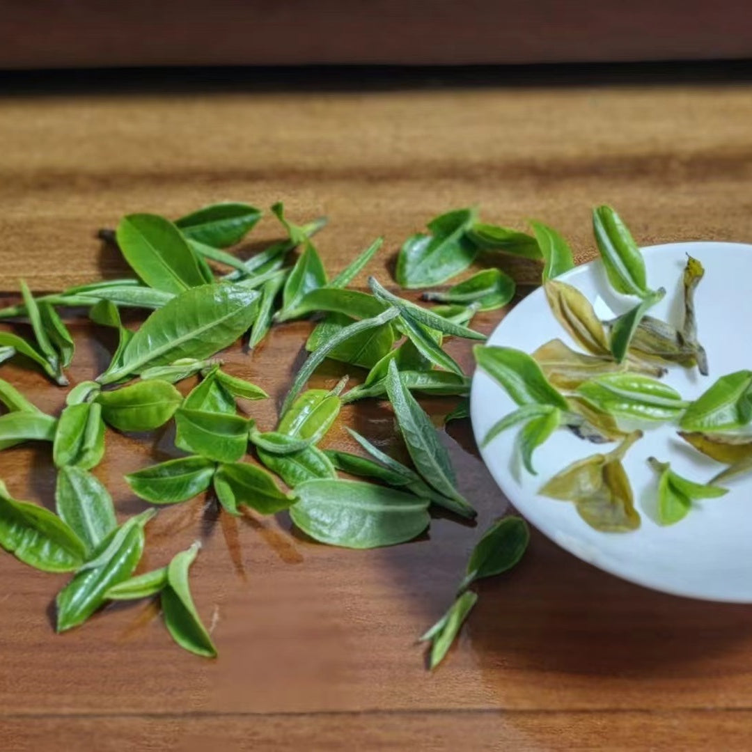 2023 Mini Portable Cat Ear Pu’er Tea — Cute, Delicious, Drinkable Perfume