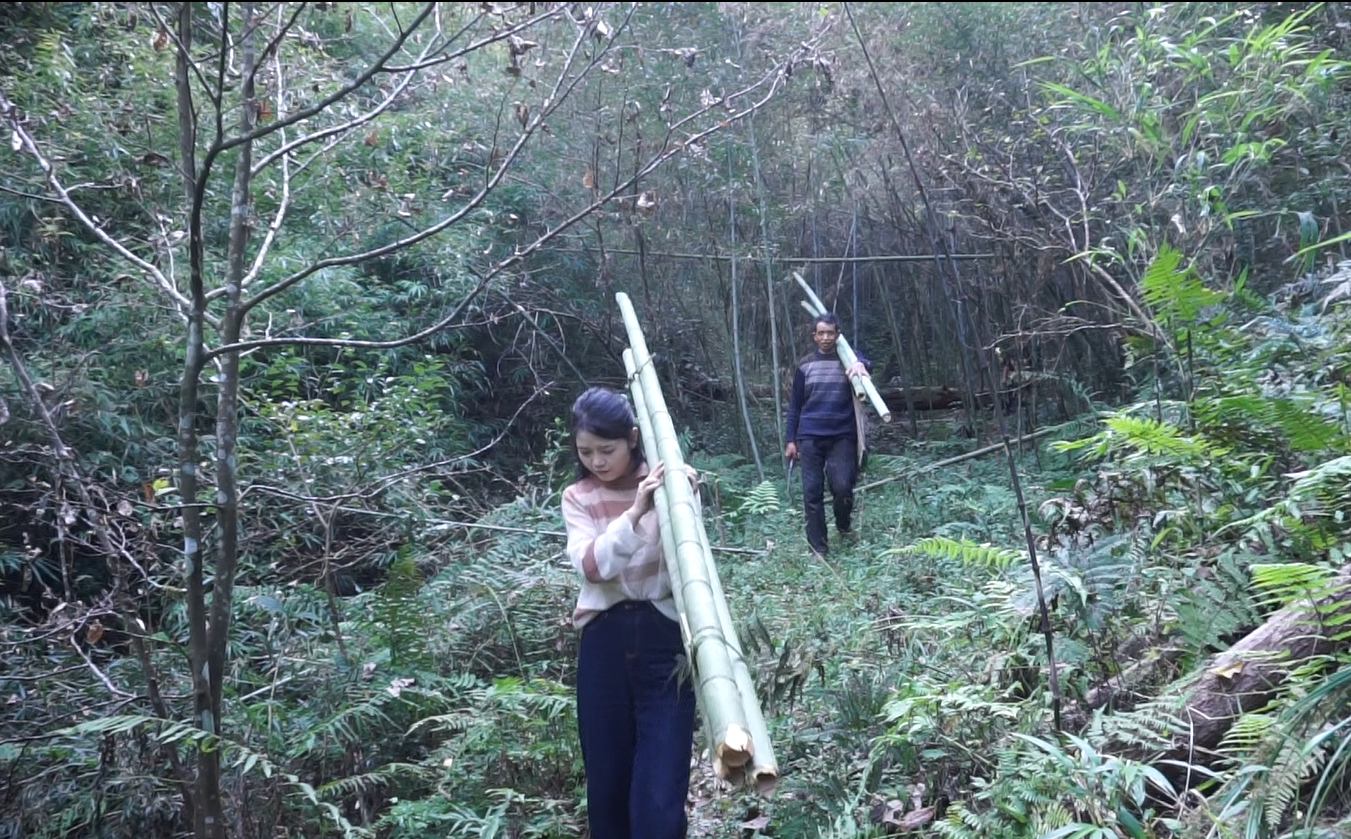 2024 Bamboo Tube Tea — A Tea Crafted with Unique Traditional Techniques