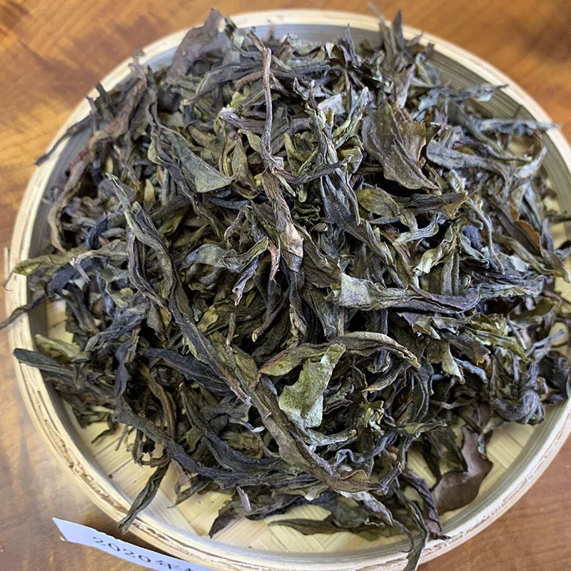 2025 Bangdong Yellow Leaf The “Gentle Power” of Ancient Tree Old Leaves          询问 ChatGPT