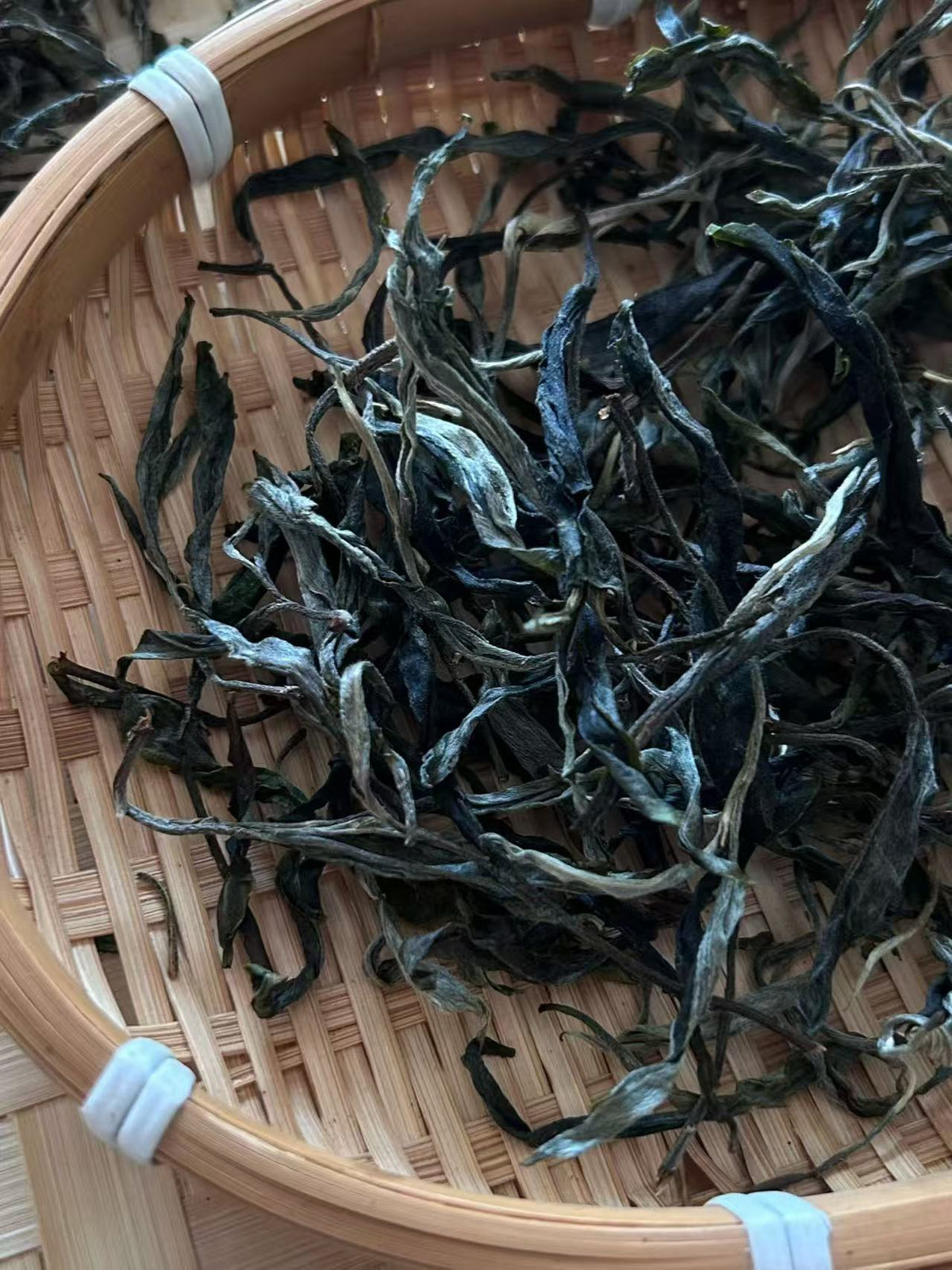 2026年铜箐河 青苔与冰镇西瓜的清爽