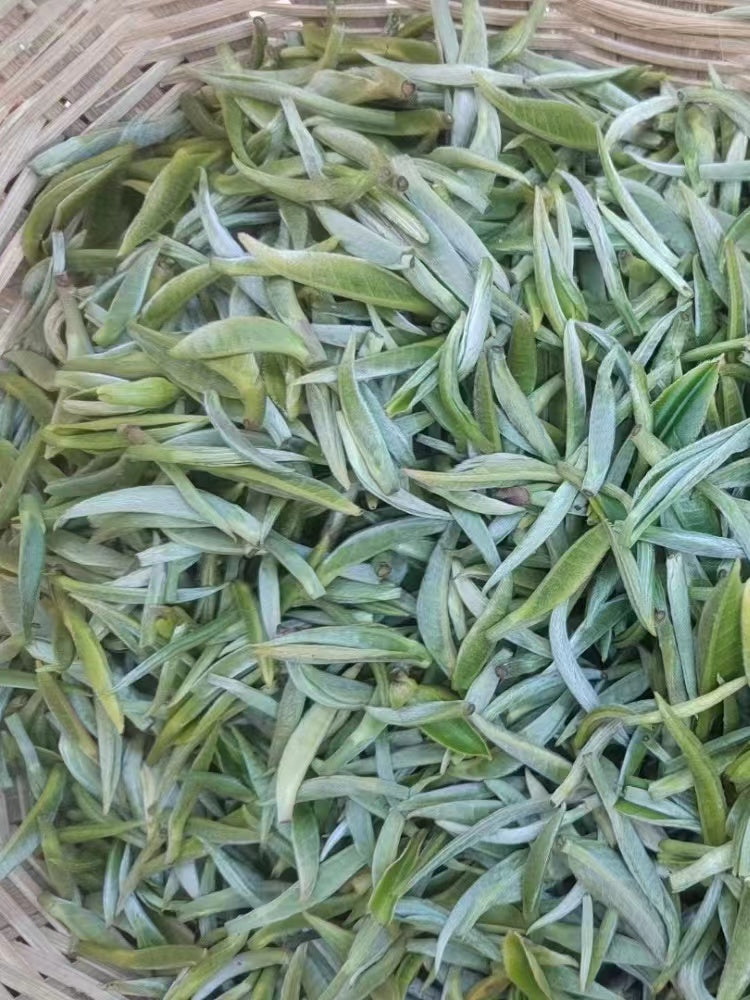 2022 Yunnan Silver Needle White Tea