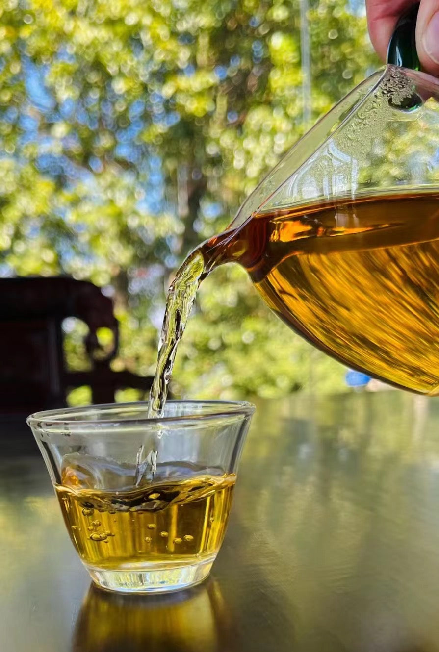 2024 Tongqinghe Pu’er Tea Tea from the Pristine Ancient Forest