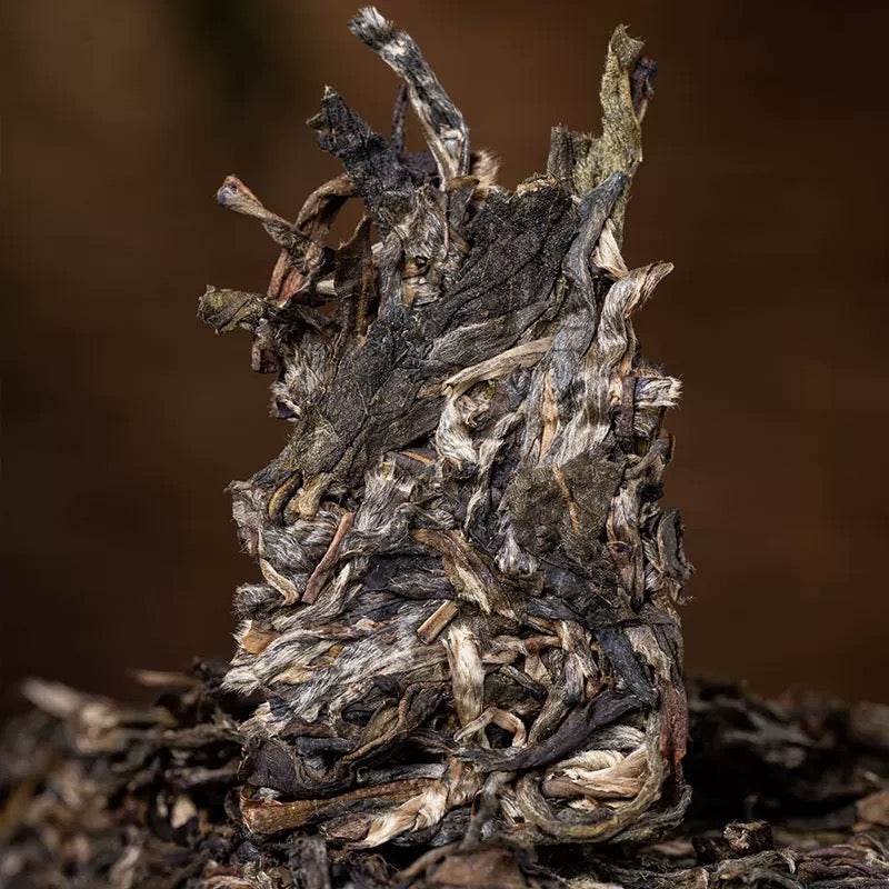 2019 Bingdao Mini Pu-erh Brick (Raw Tea)