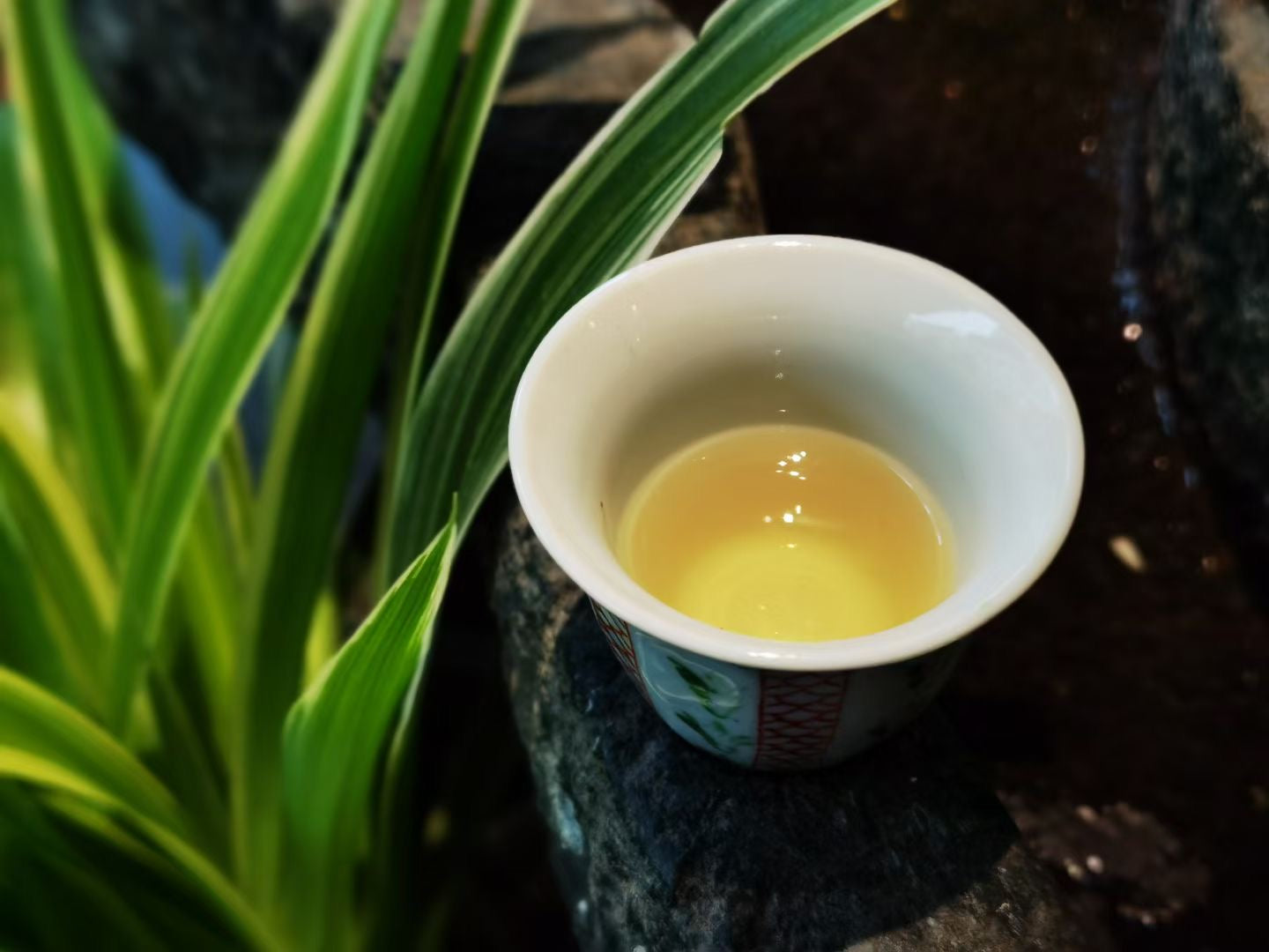 2022 Xiangzhulin · Ancient Tree Spring Tea Secret Lincang Sanctuary · “Fragrant Concubine of Tea” · Orchid & Bamboo Sweetness