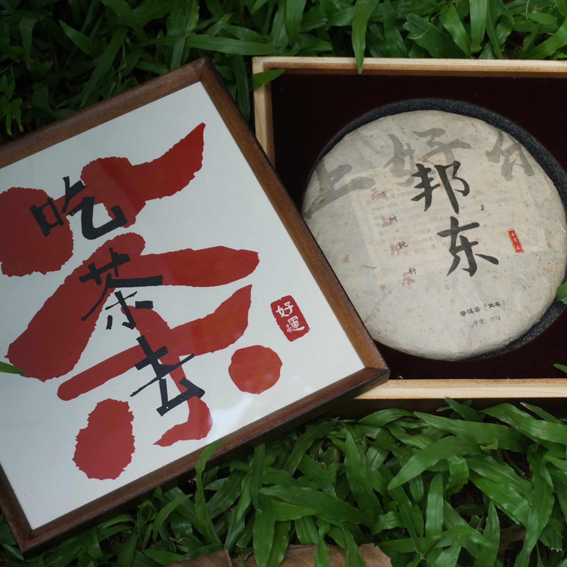 2022 Bangdong Ancient Tree Raw Pu-erh Tea – Estate-Grown from Core Origin