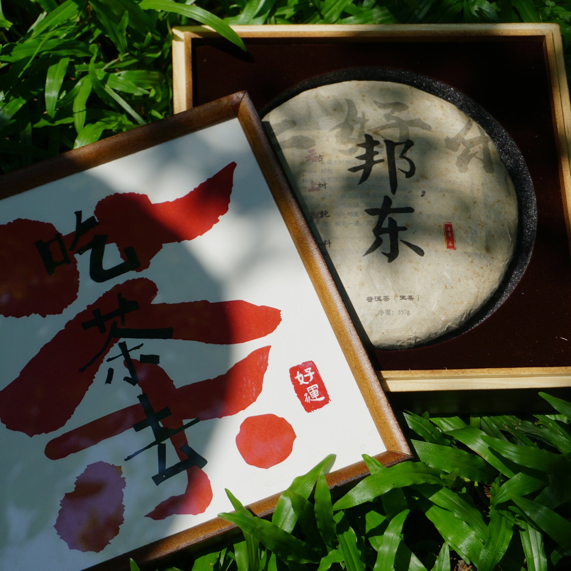 2022 Bangdong Ancient Tree Raw Pu-erh Tea – Estate-Grown from Core Origin