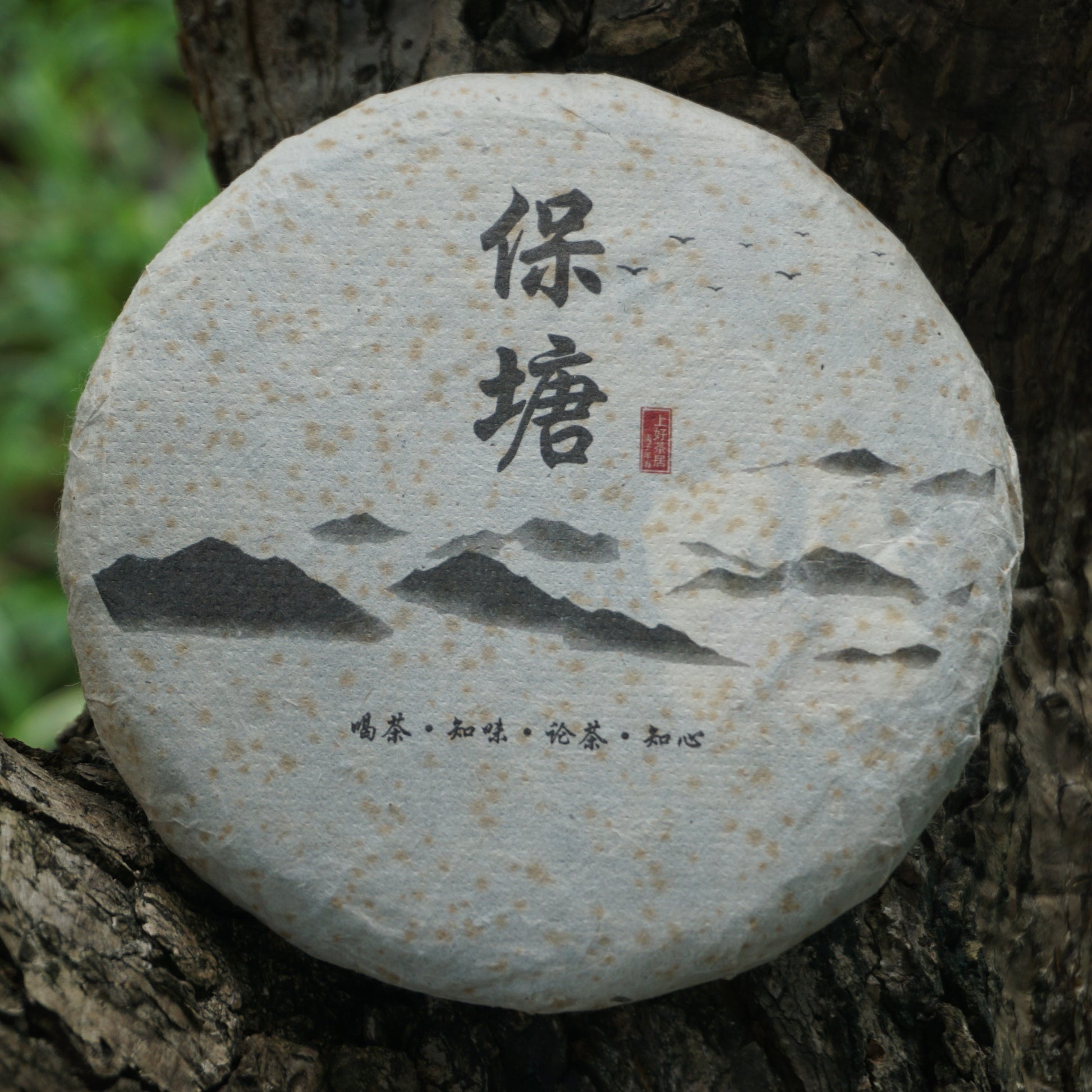 2020 Baotang Raw Pu-erh Tea | Handmade Ancient Tree Tea