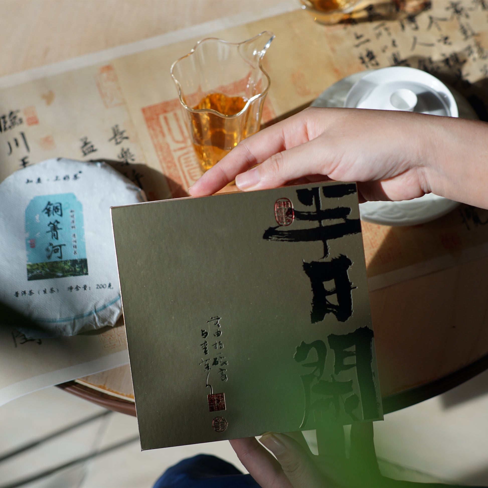 2023 Tongqing River Pu-erh Tea — Tea from the Pristine Forest