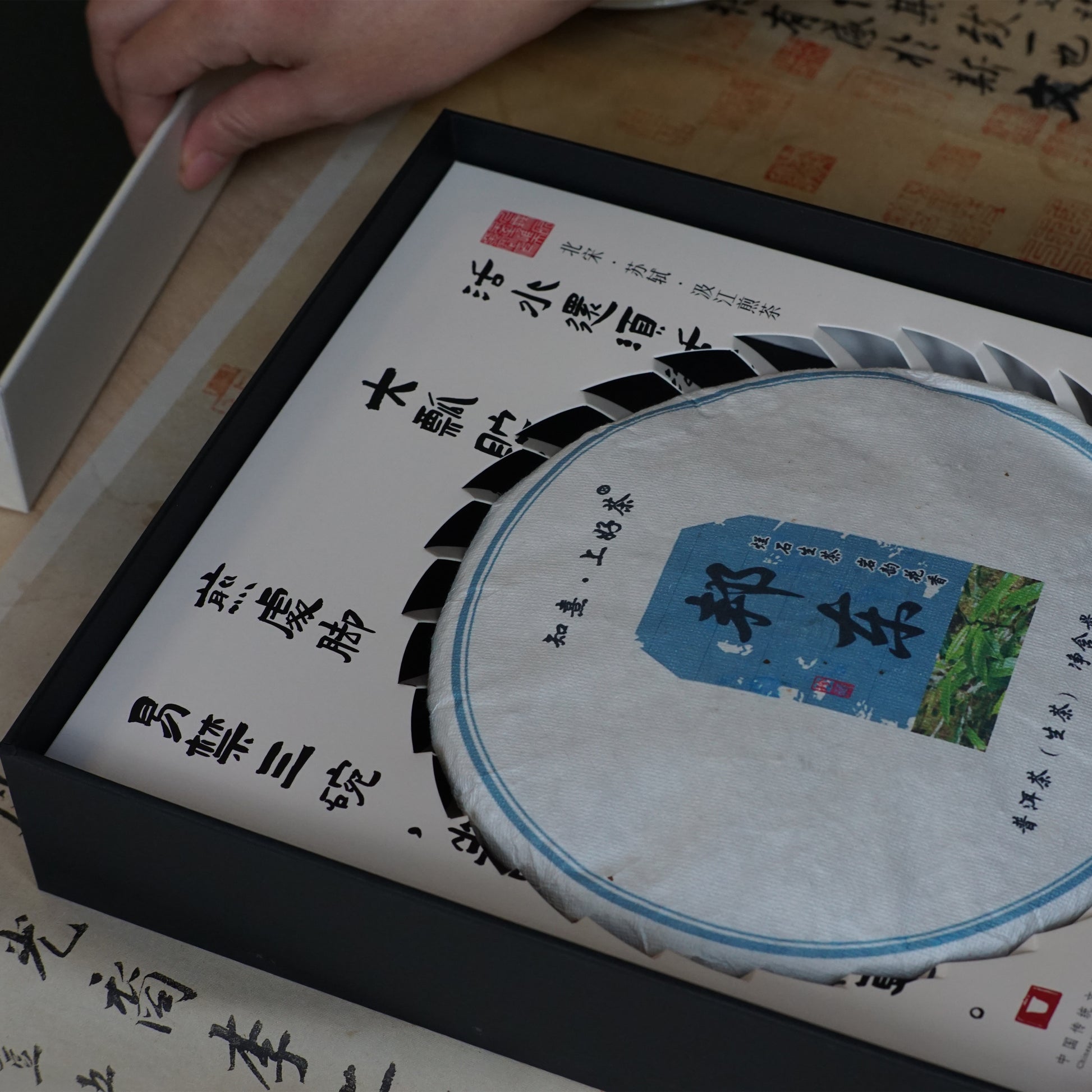2023 Bangdong Ancient Tree Pu-erh Tea From Our Own Plantation, Core Producing Area