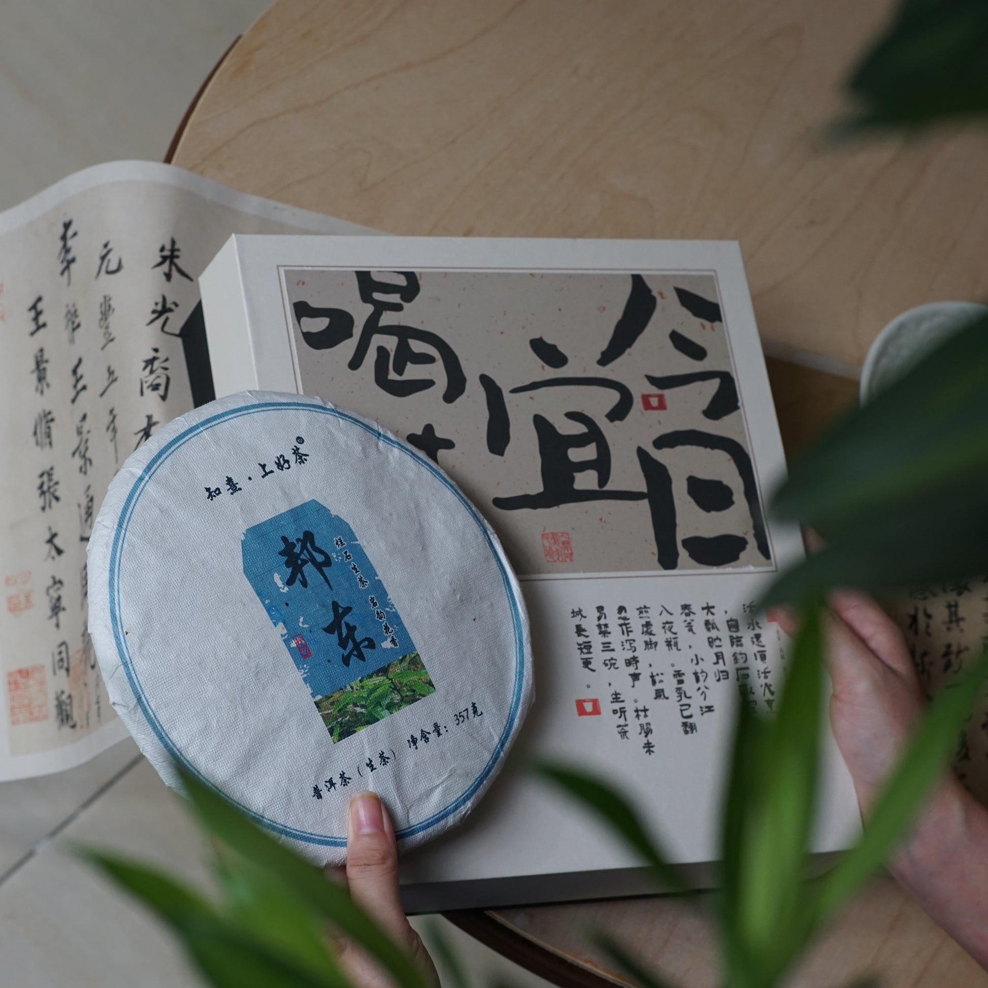2023 Bangdong Ancient Tree Pu-erh Tea From Our Own Plantation, Core Producing Area