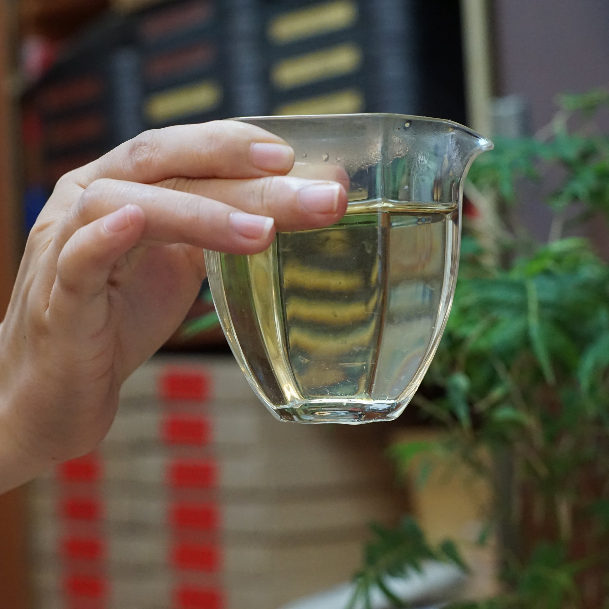 2023 Bangdong Ancient Tree Pu-erh Tea From Our Own Plantation, Core Producing Area