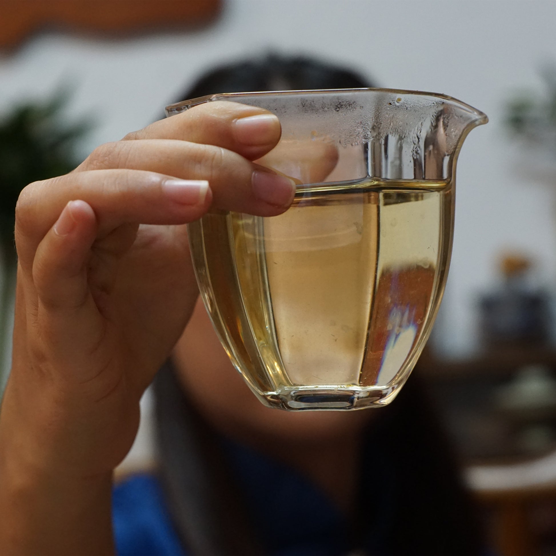 2024 Mini Portable Pu’er Tea from Bangdong — Home Base, Core Production Area