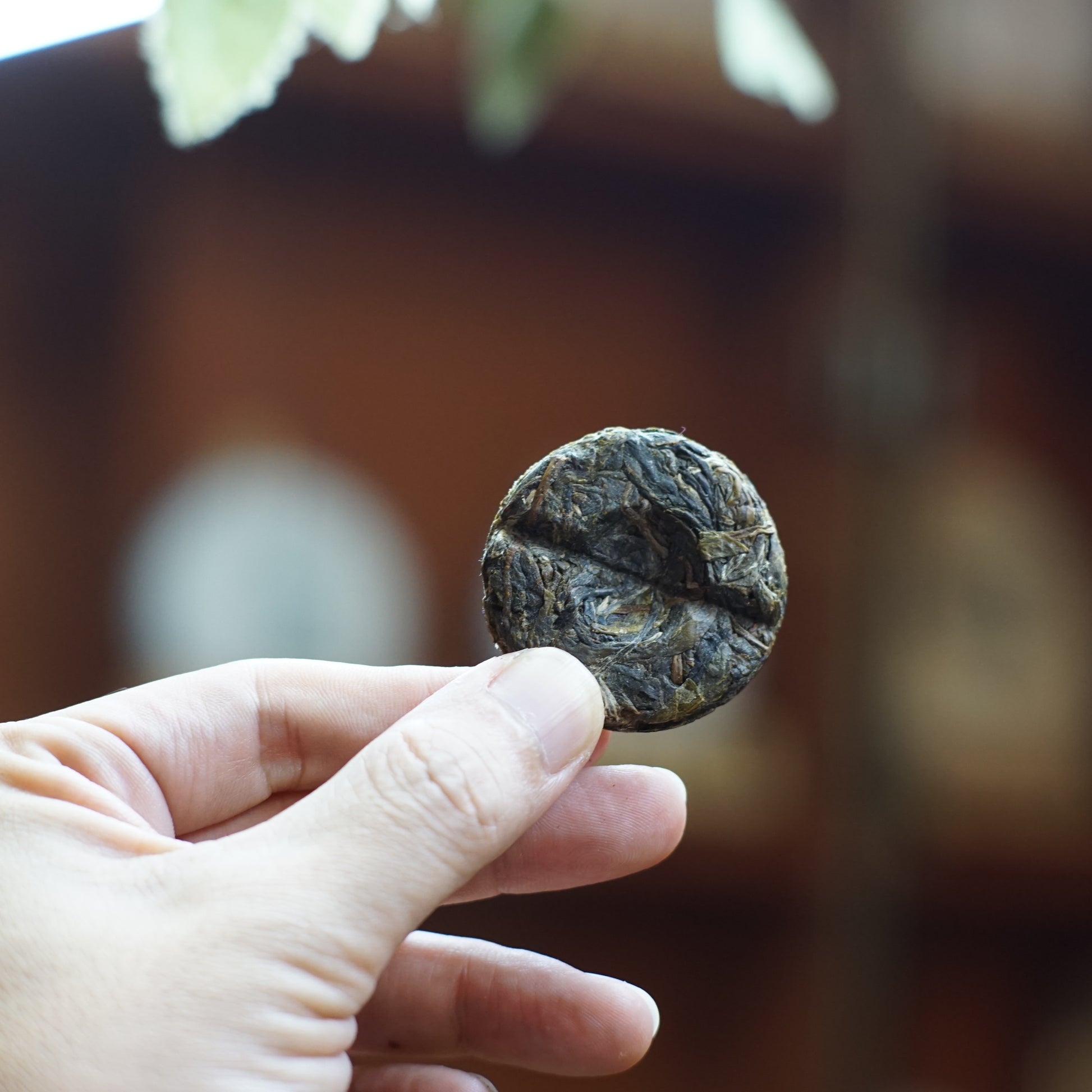 2024 Mini Portable Pu’er Tea from Bangdong — Home Base, Core Production Area
