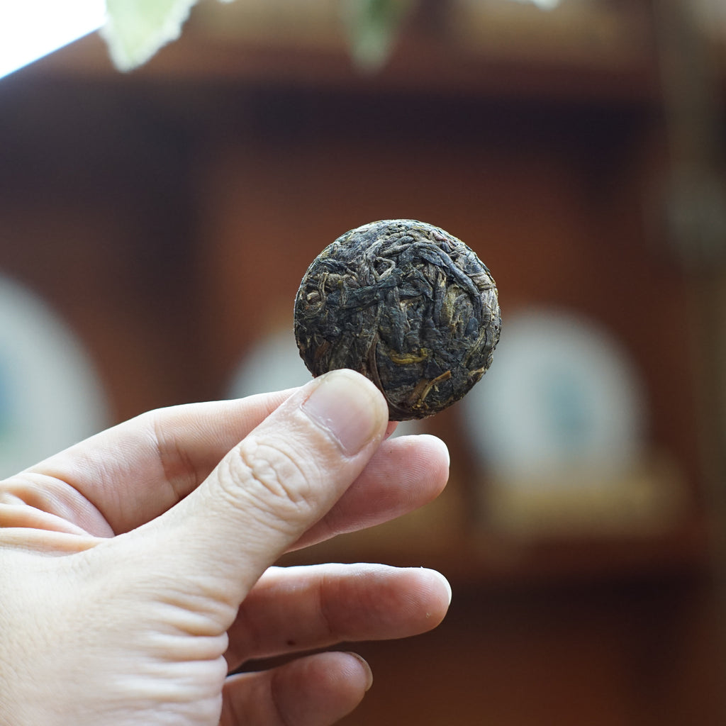 2024 Mini Portable Pu’er Tea from Bangdong — Home Base, Core Production Area