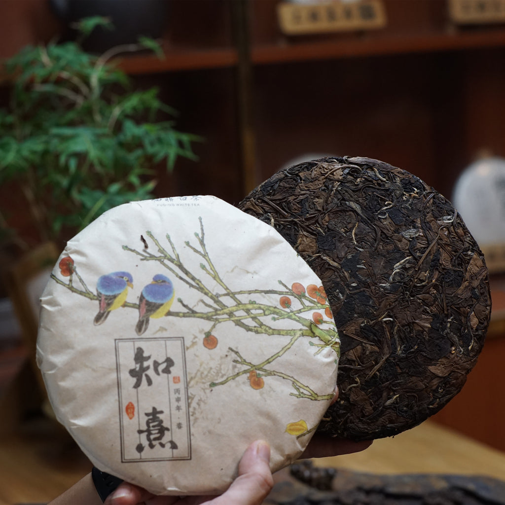 2016 Zhi Xi Gong Mei White Tea