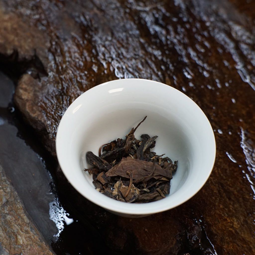 2016 Zhi Xi Gong Mei White Tea