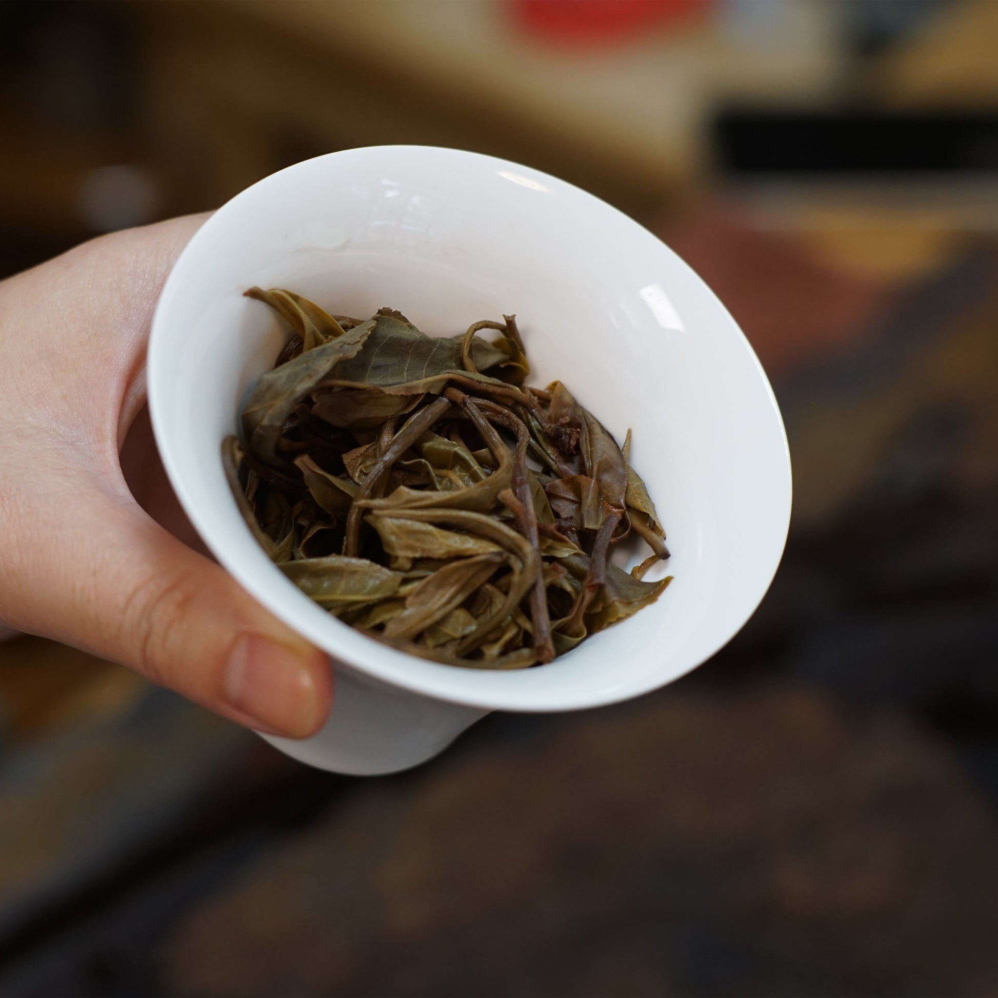 2023 Bangdong Ancient Tree Pu-erh Tea From Our Own Plantation, Core Producing Area