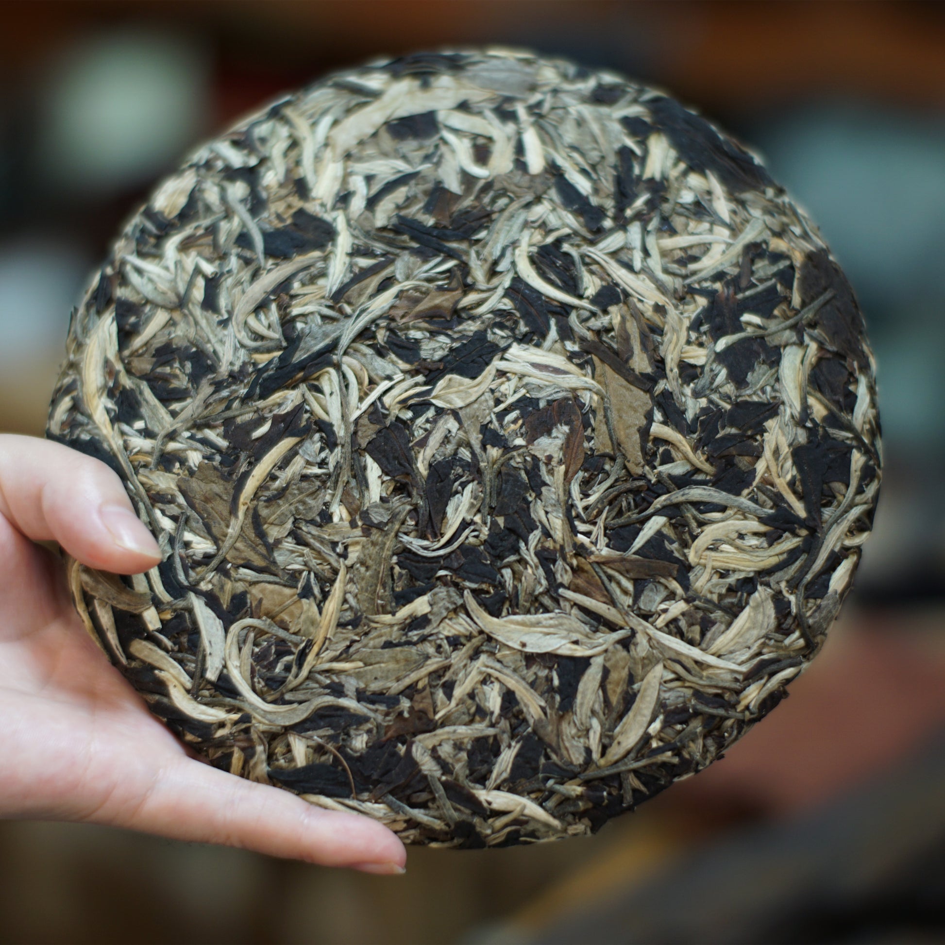 2021 Qinghuan White Peony (Bai Mudan) White Tea