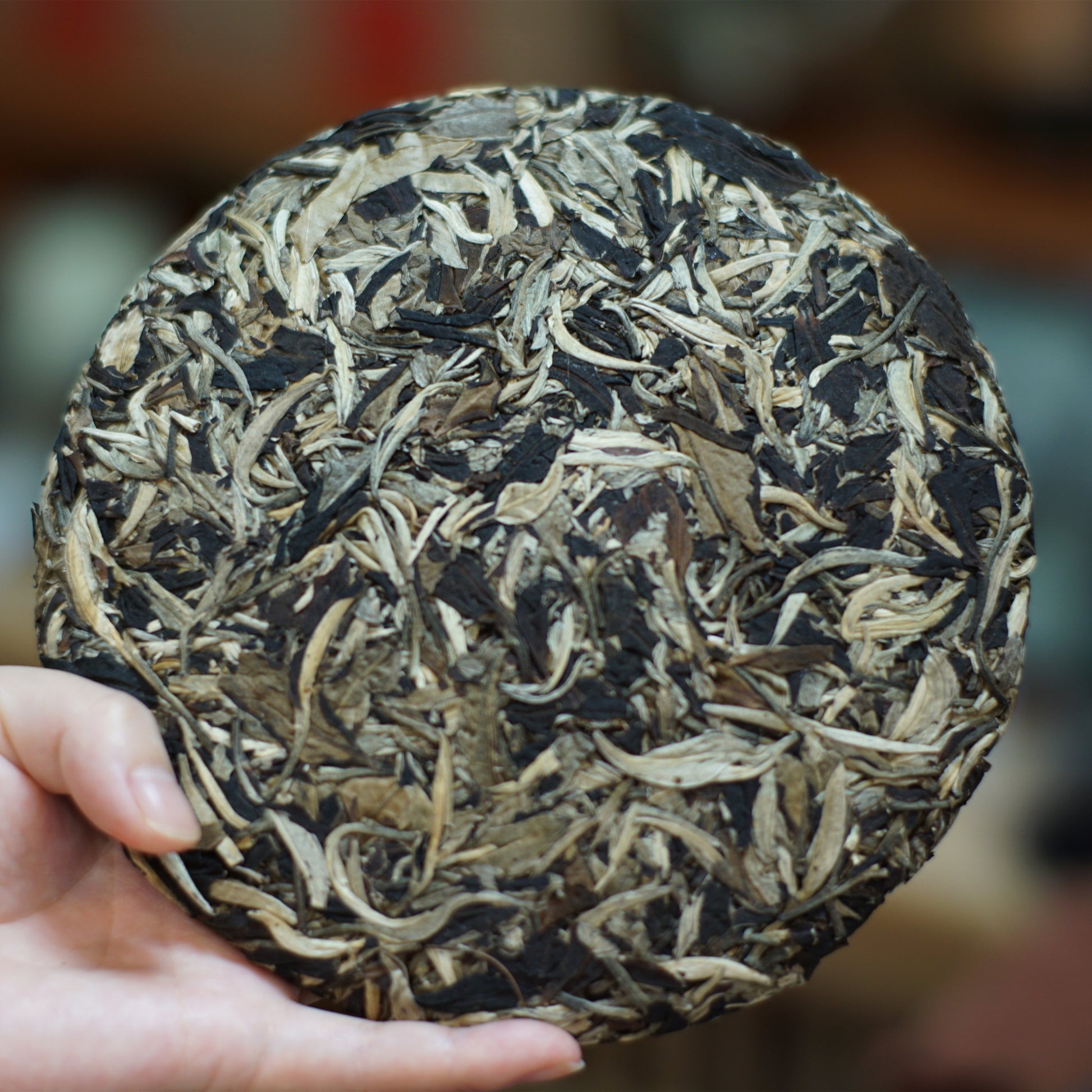 2021 Qinghuan White Peony (Bai Mudan) White Tea
