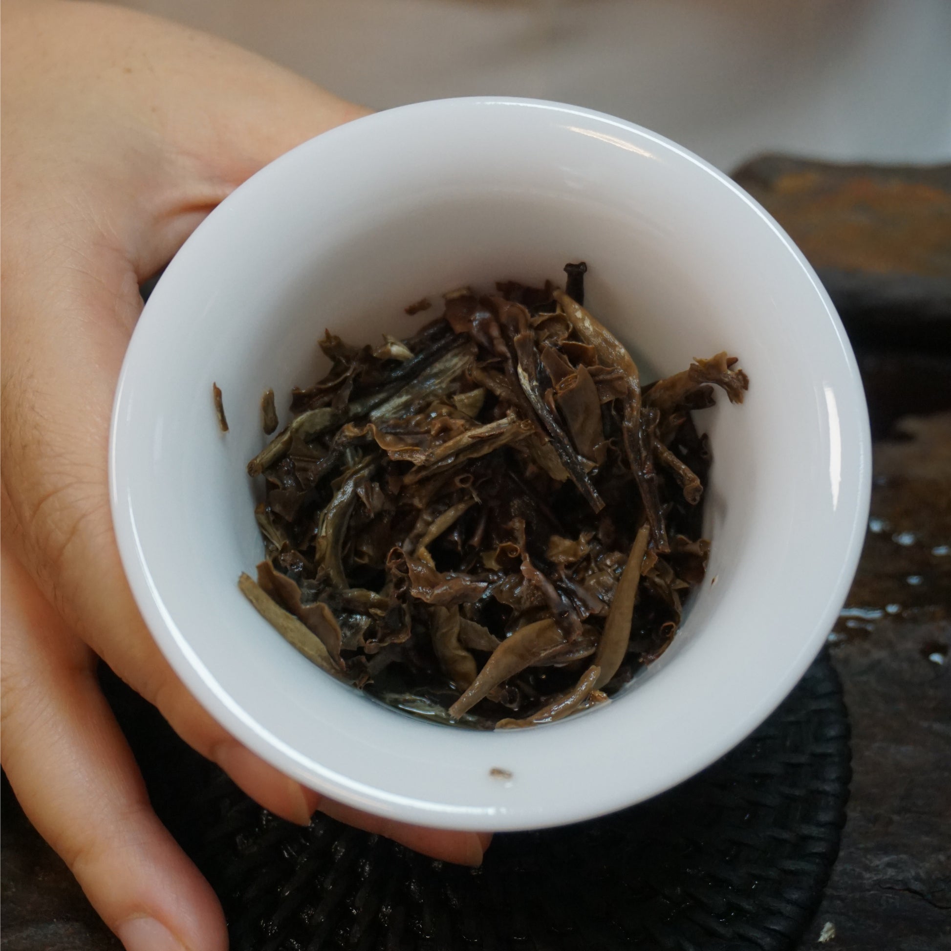 2021 Qinghuan White Peony (Bai Mudan) White Tea