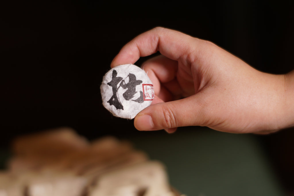 2024 Mini Portable Pu’er Tea from Bangdong — Home Base, Core Production Area