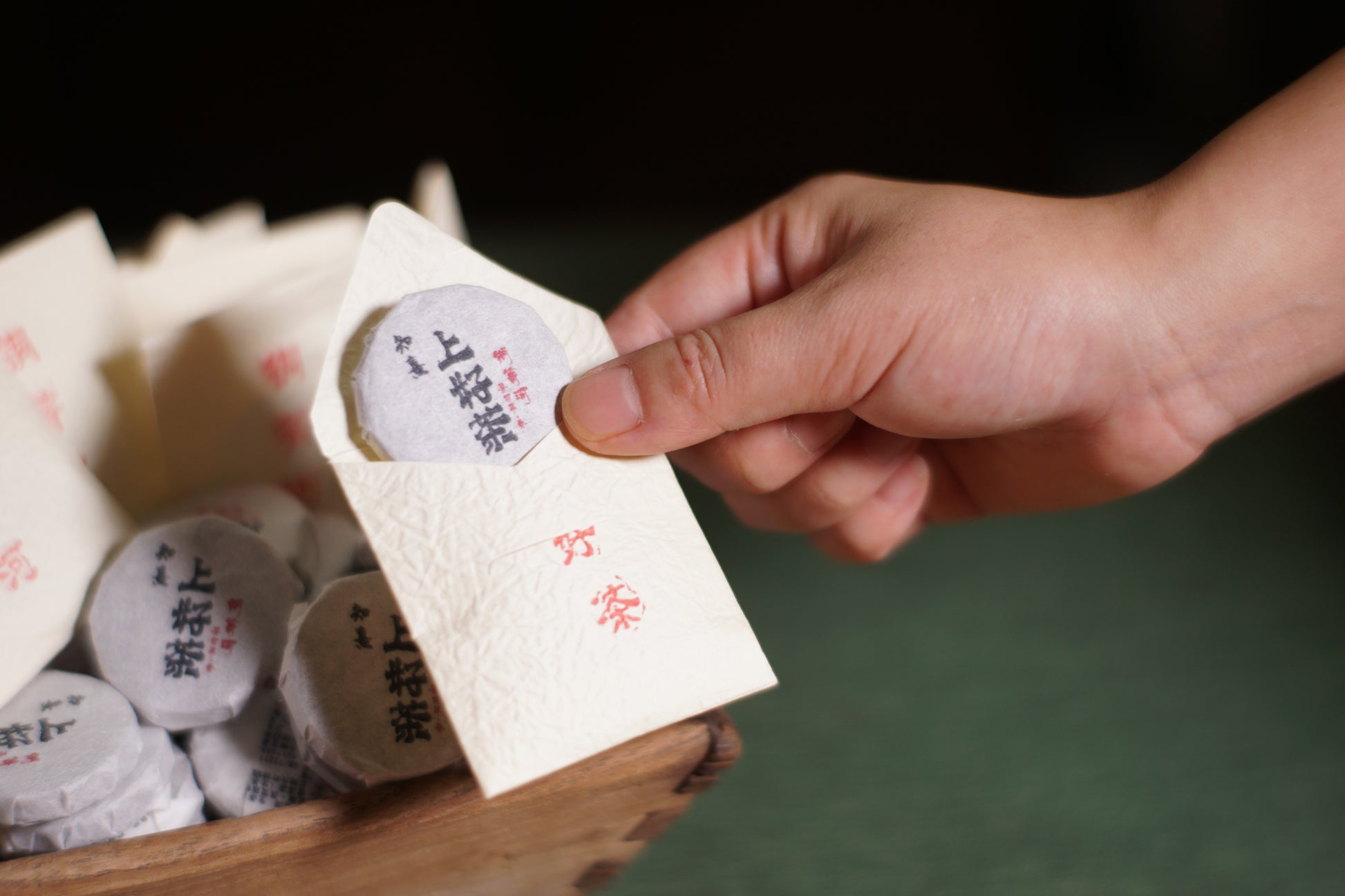 2023 Mini Portable Pu'er Tea from Tongqing River — Tea from the Primal Forest