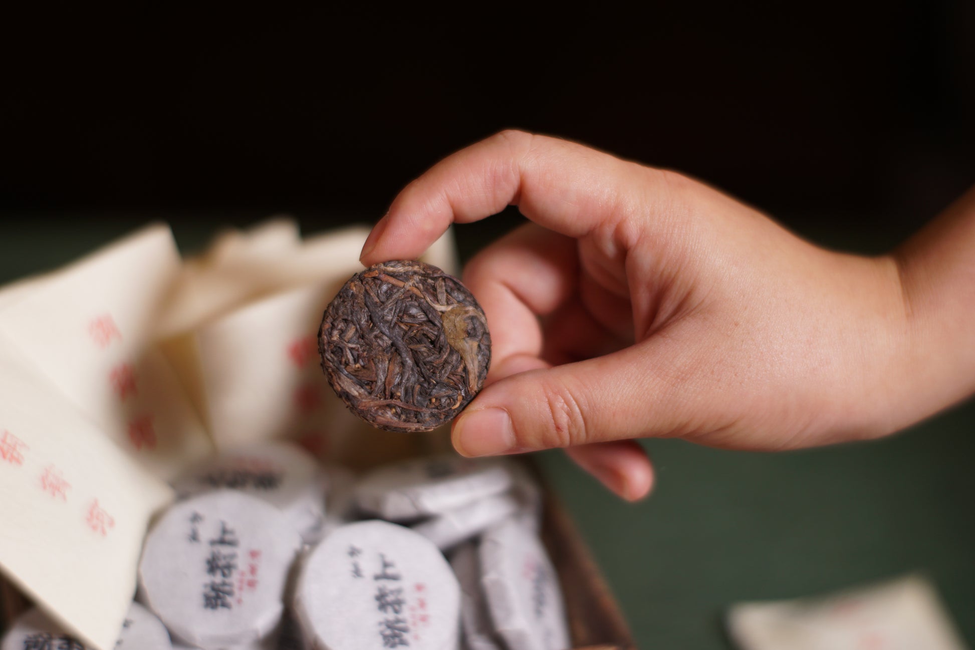 2023 Mini Portable Pu'er Tea from Tongqing River — Tea from the Primal Forest