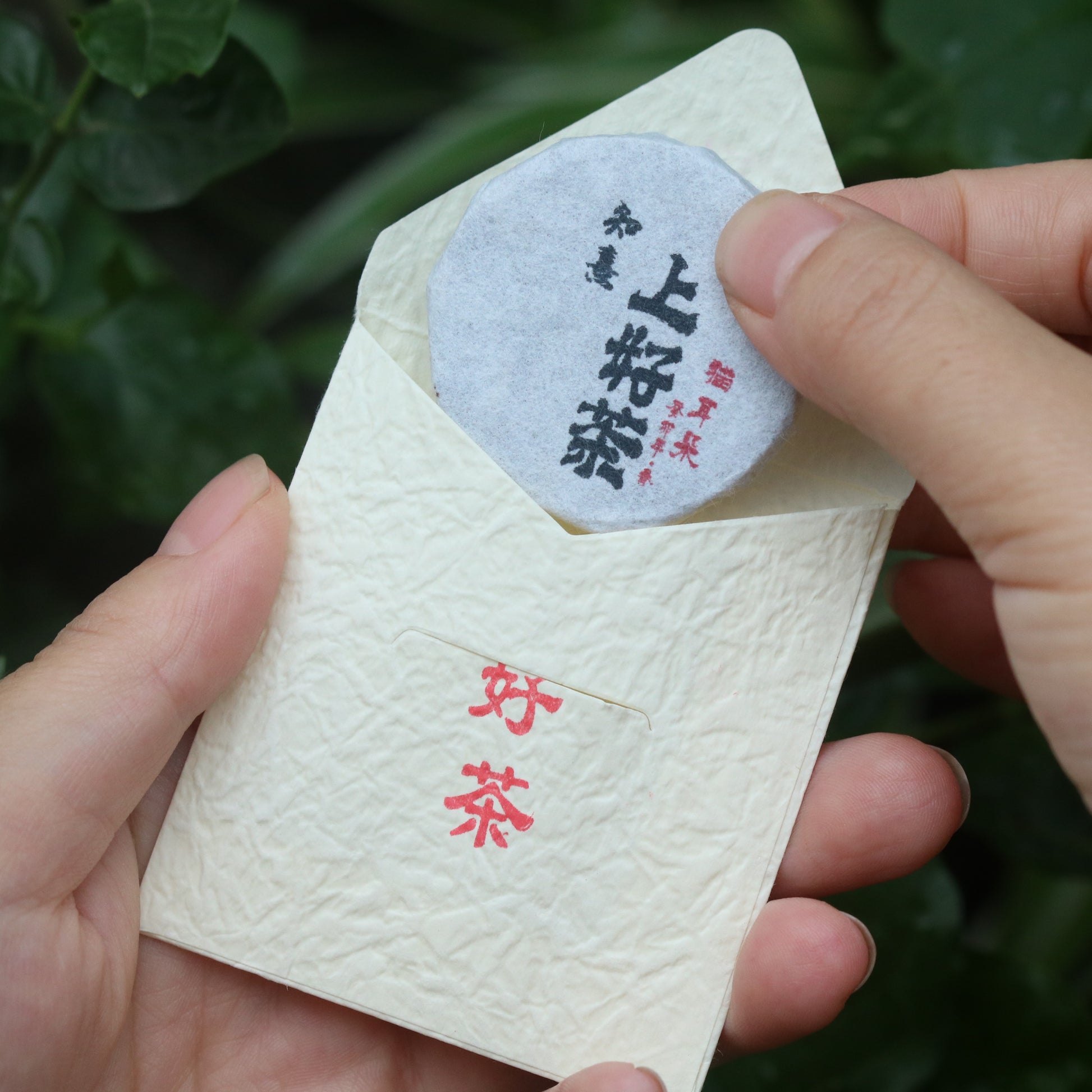 2023 Mini Portable Cat Ear Pu’er Tea — Cute, Delicious, Drinkable Perfume