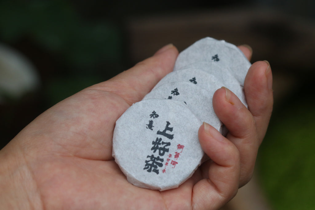 2023 Mini Portable Pu'er Tea from Tongqing River — Tea from the Primal Forest