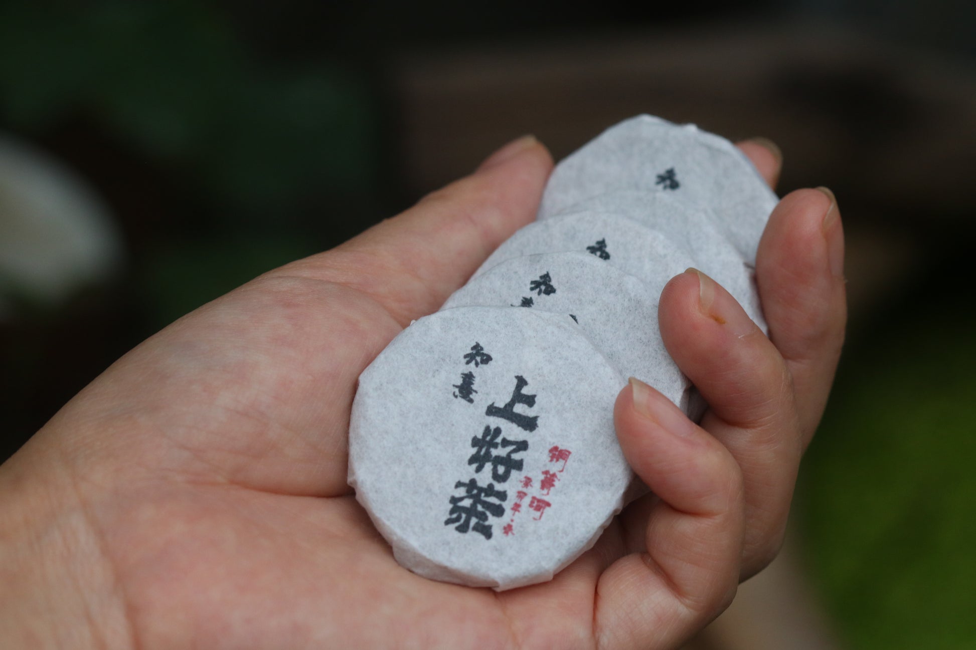 2023 Mini Portable Pu'er Tea from Tongqing River — Tea from the Primal Forest