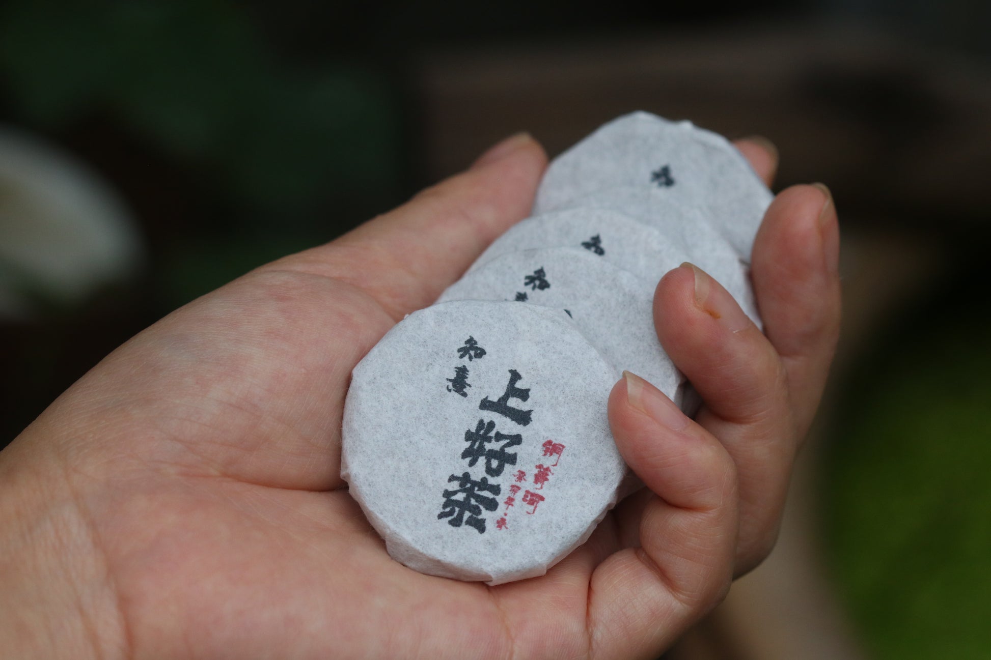 2023 Mini Portable Pu'er Tea from Tongqing River — Tea from the Primal Forest