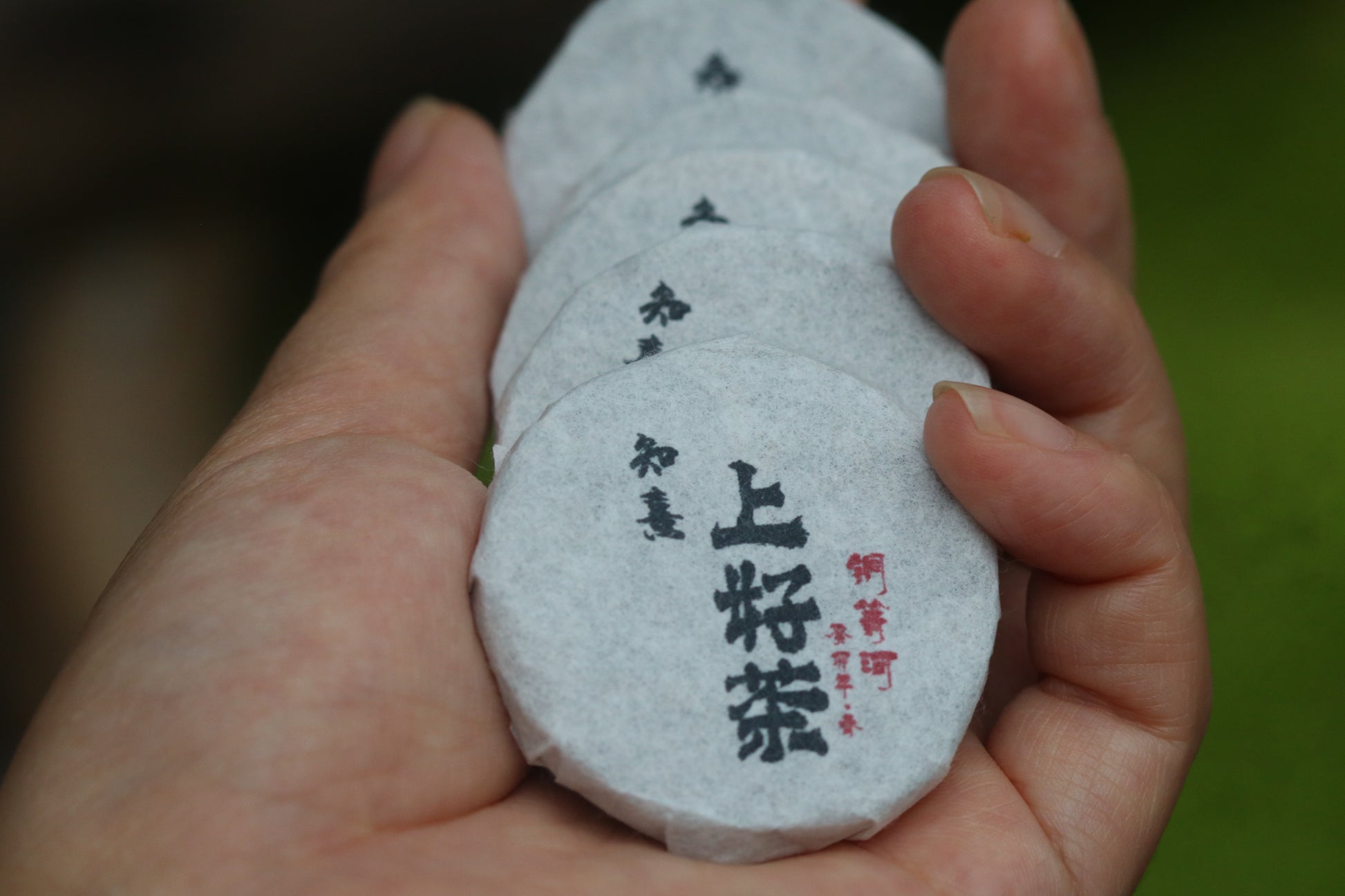 2023 Mini Portable Pu'er Tea from Tongqing River — Tea from the Primal Forest