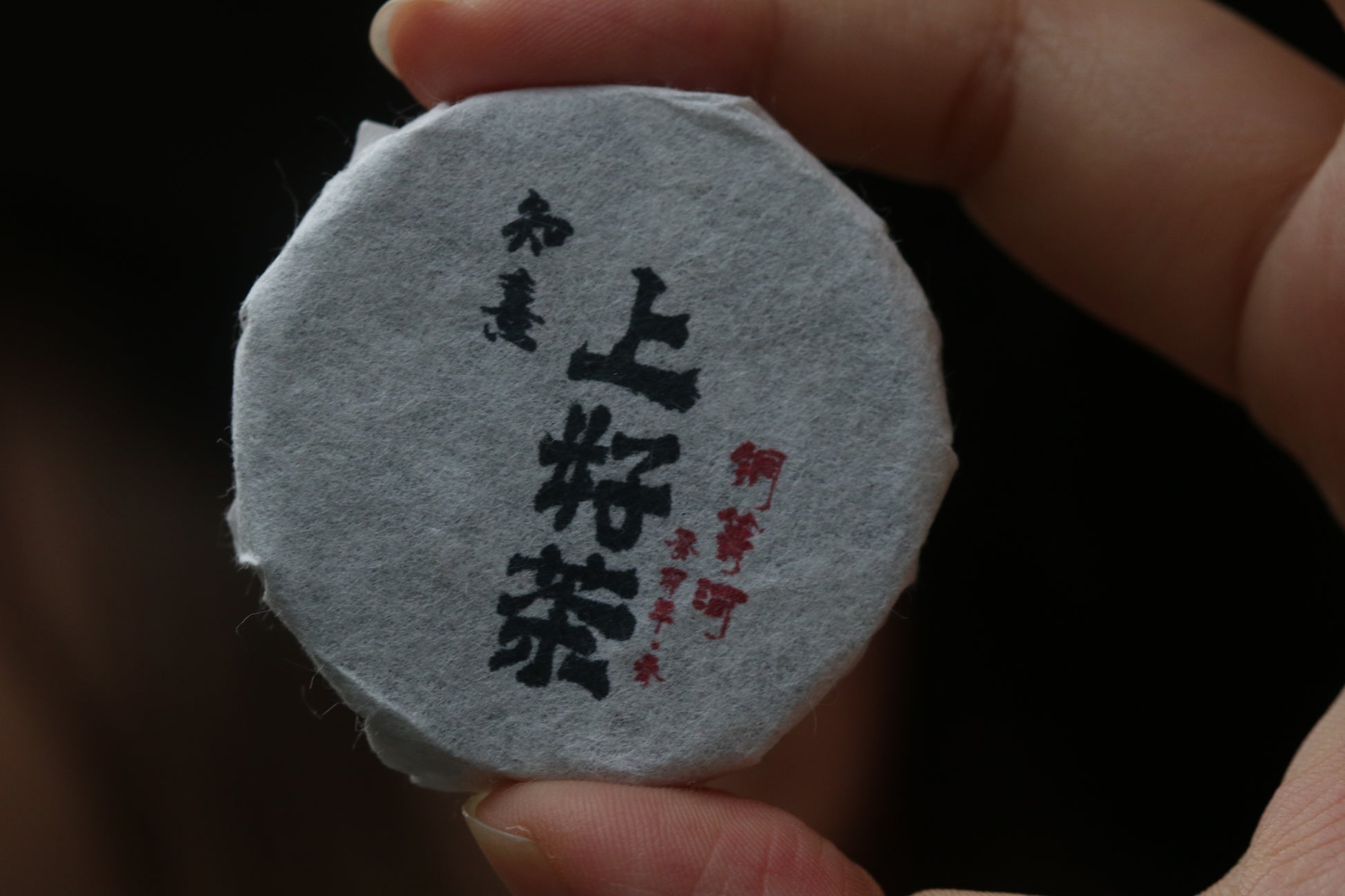 2023 Mini Portable Pu'er Tea from Tongqing River — Tea from the Primal Forest