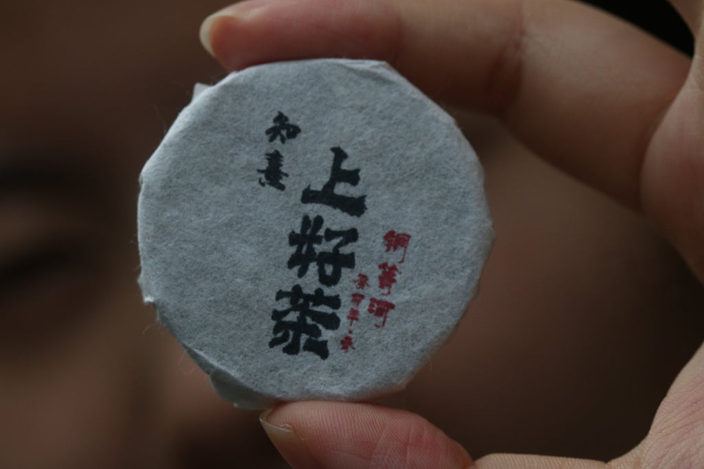 2023 Mini Portable Pu'er Tea from Tongqing River — Tea from the Primal Forest