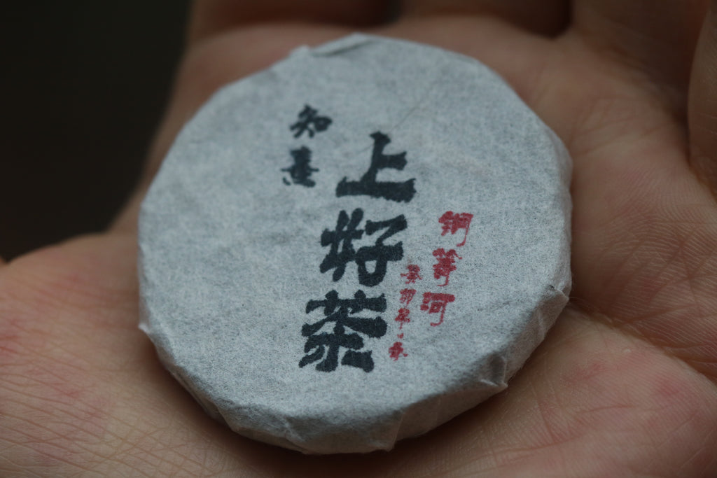 2023 Mini Portable Pu'er Tea from Tongqing River — Tea from the Primal Forest
